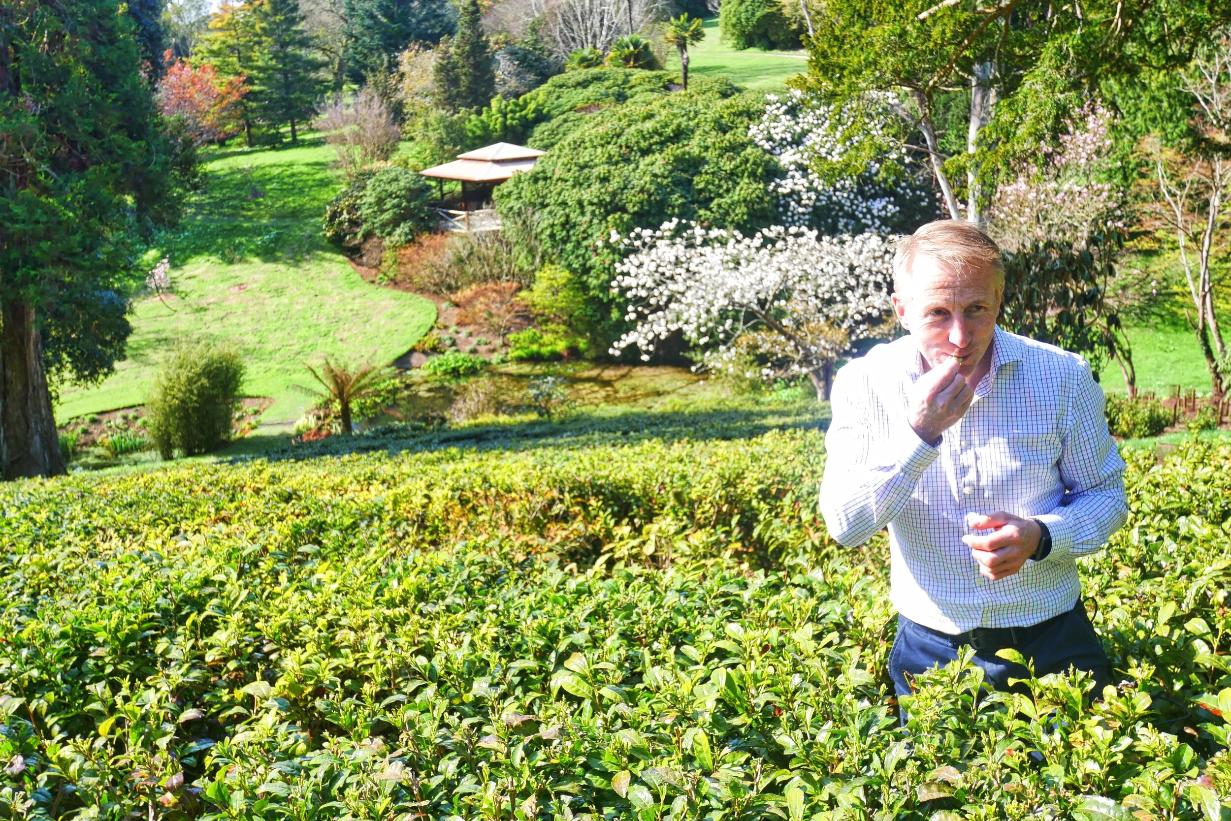 Celebrated Cornwall - Jonathon Jones OBE and the Tale of Cornish Tea