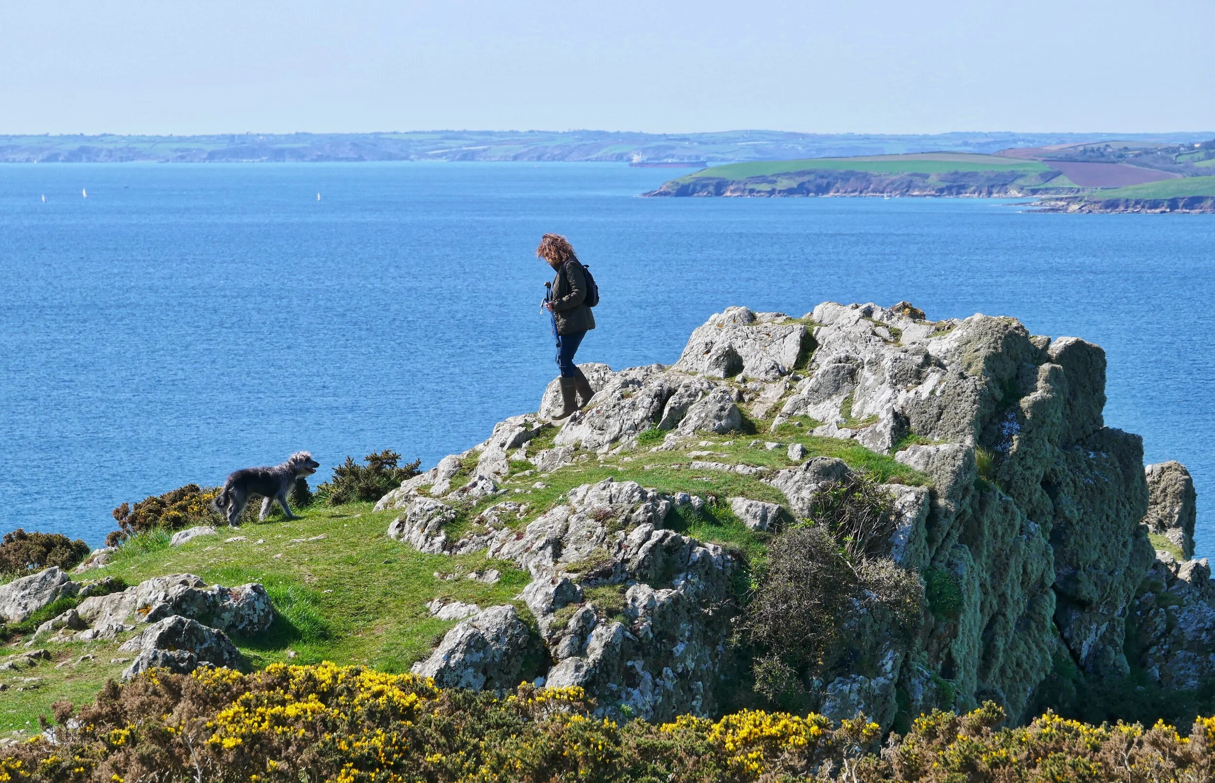 Nare Head looking west.jpeg
