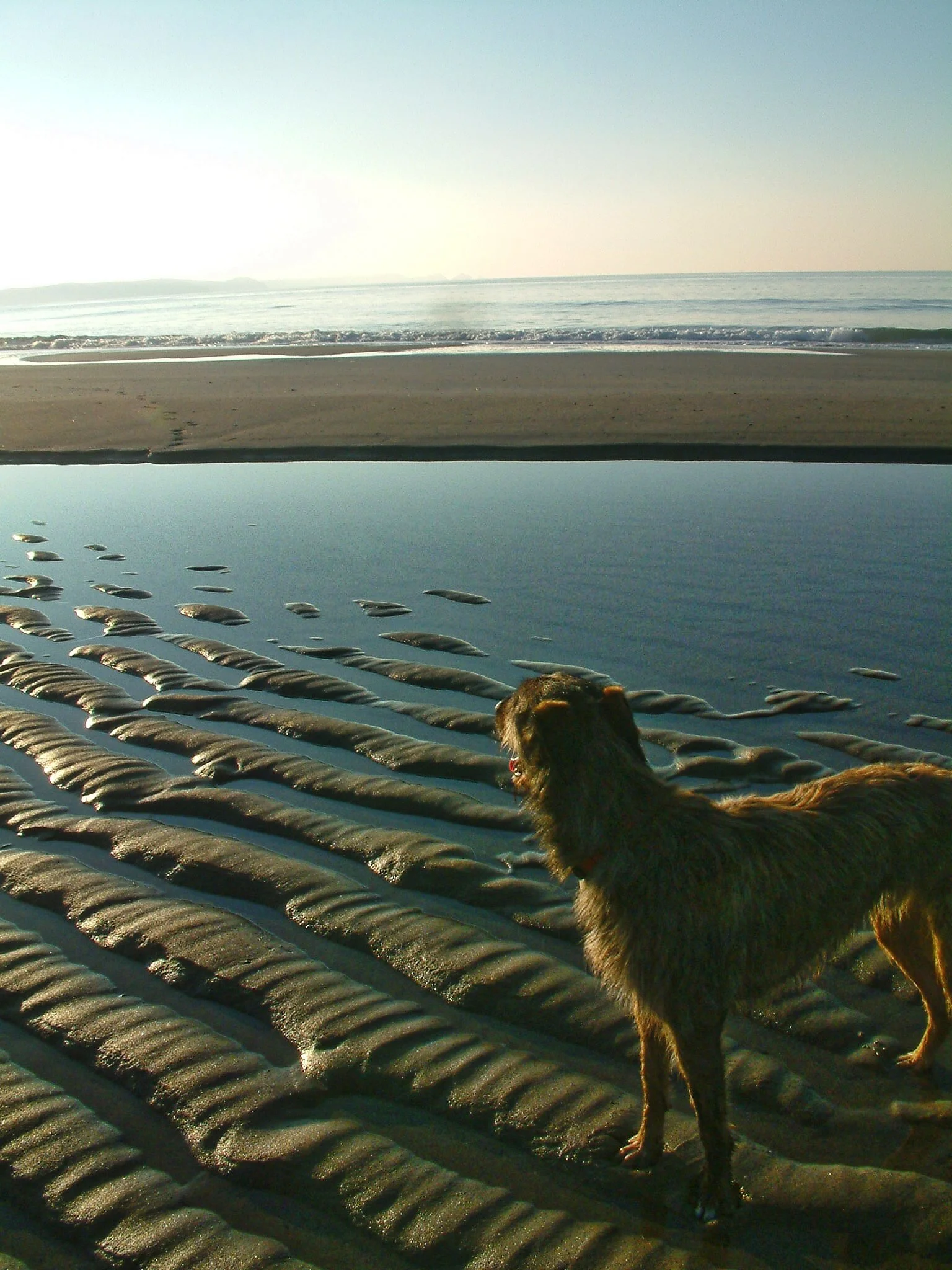 Cornish Walks - Tregardock, North Cornwall