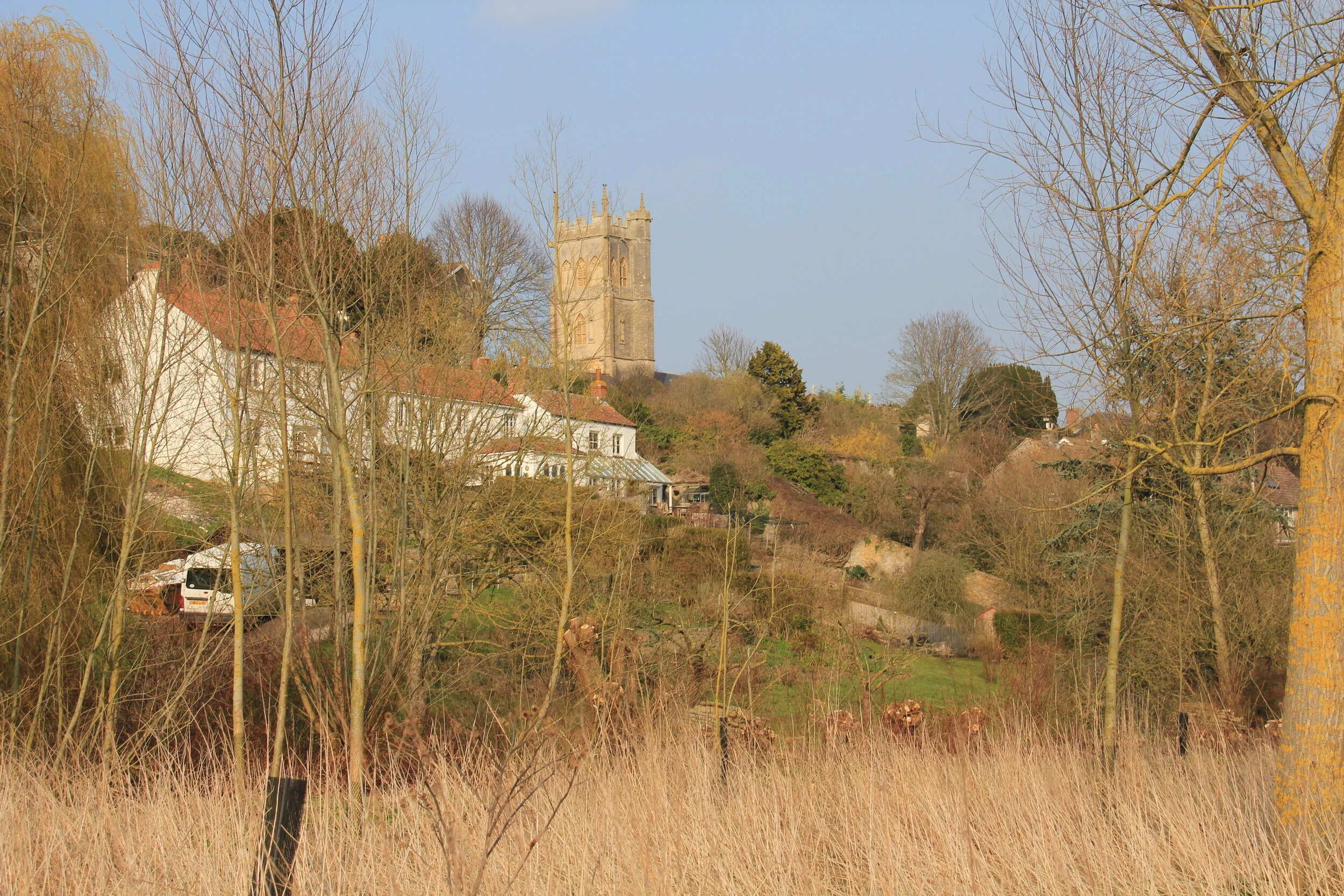 Somerset Walks - Langport-Muchelney Circular