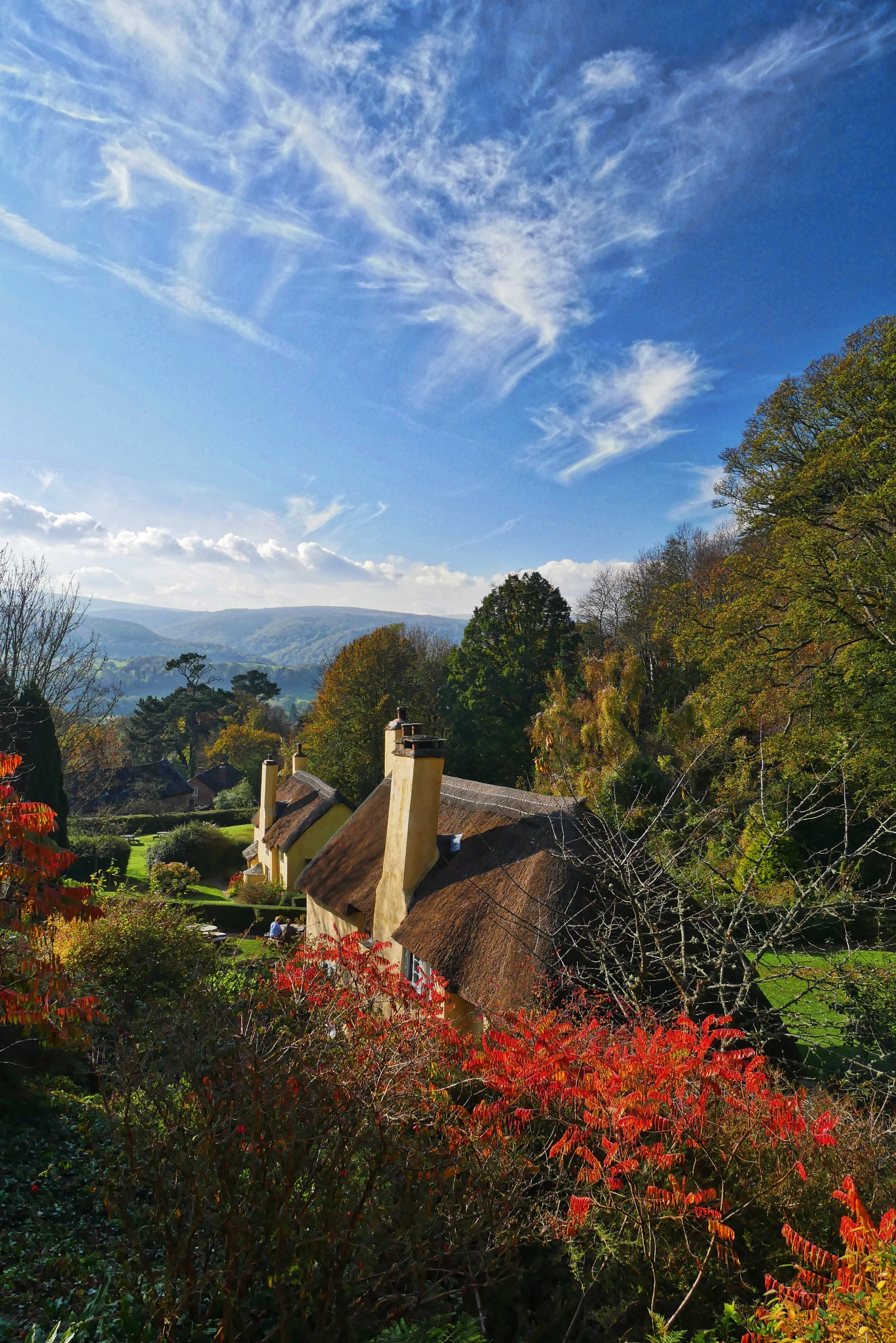Somerset Walks - Selworthy Circular