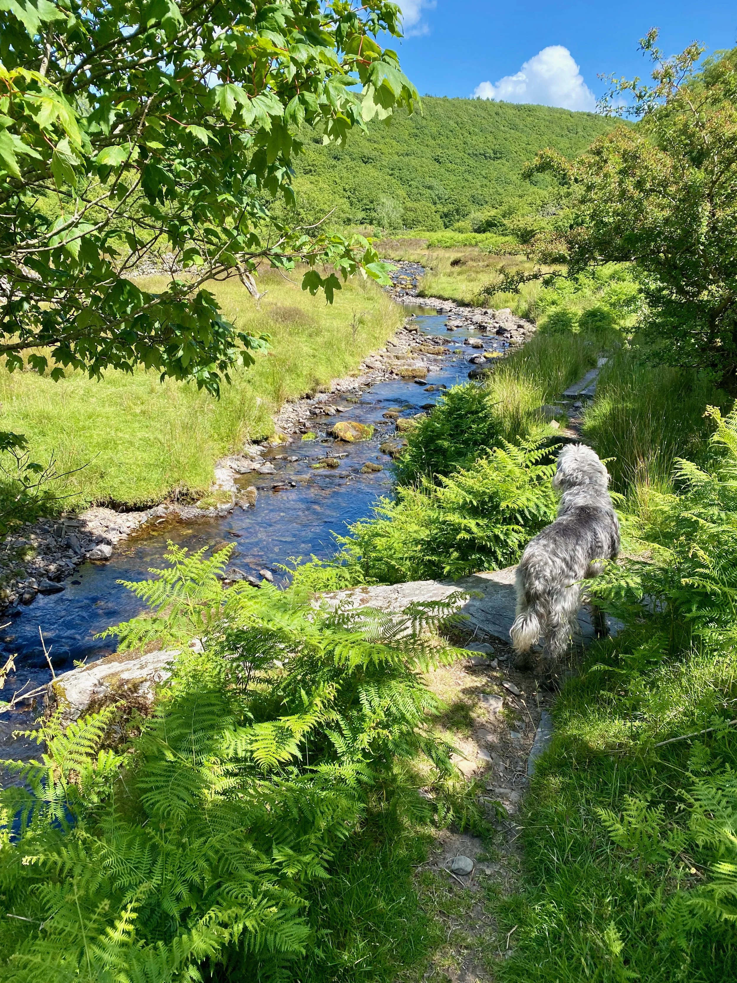 Exmoor Walks: Weir Water