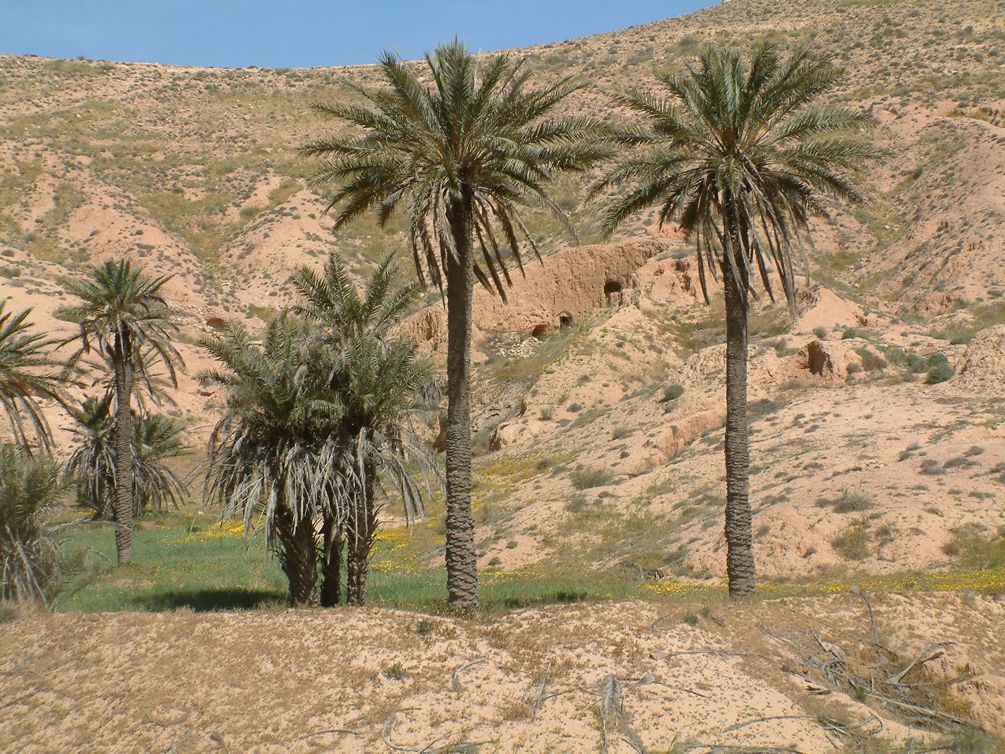 DSCF0694.JPG
