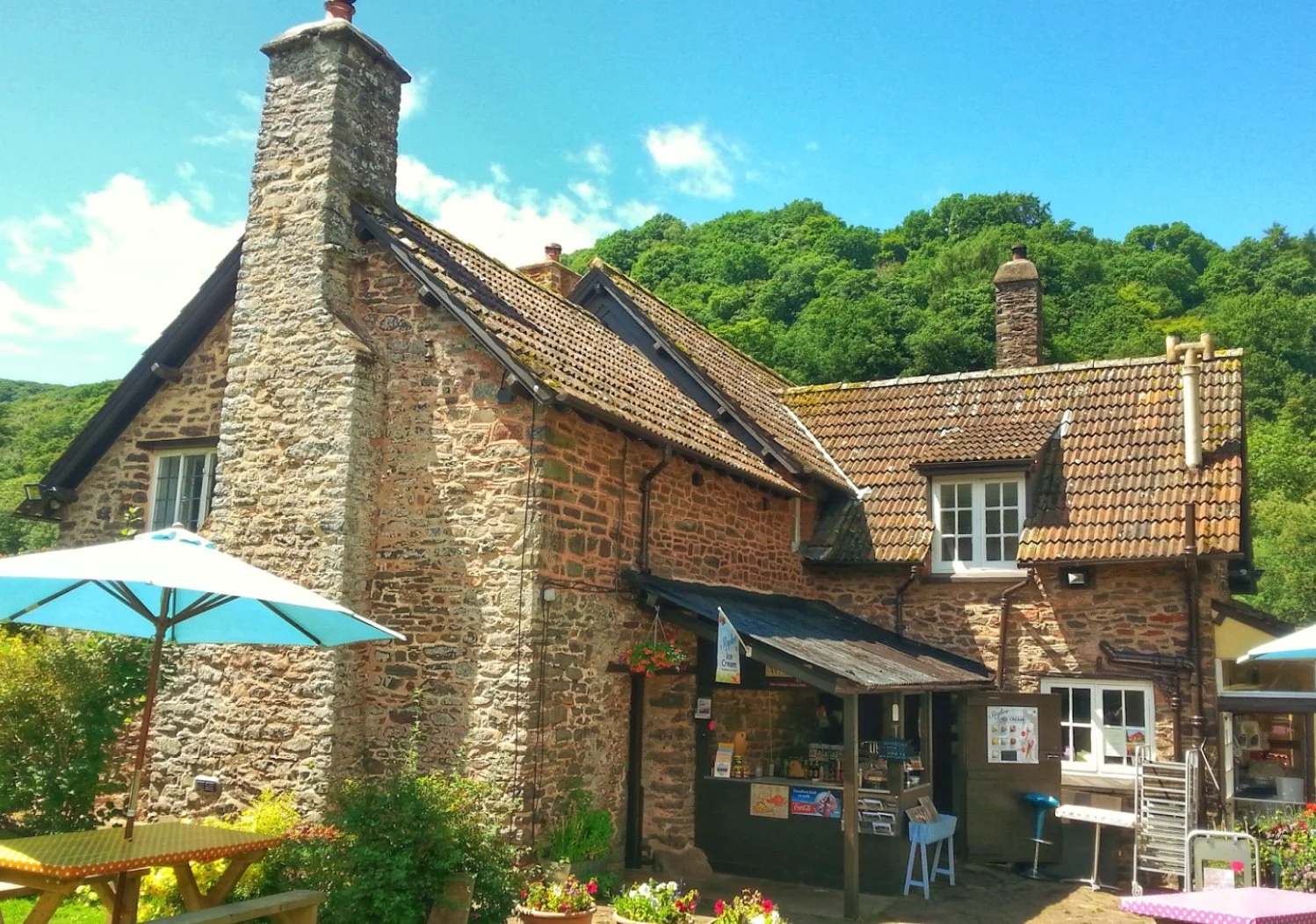Exmoor Walks: Porlock Vale - Ancient Forests and Micro-Climates