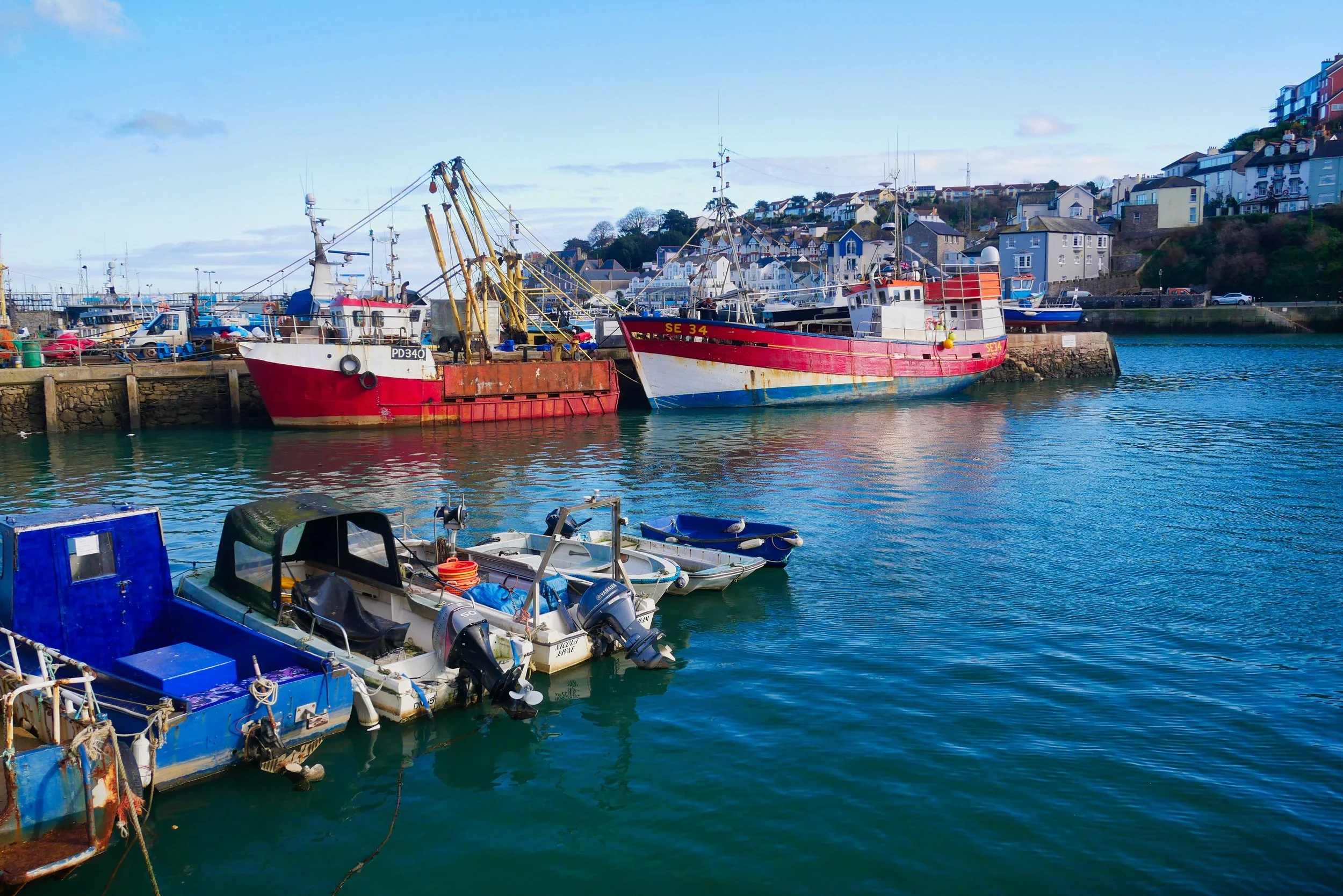 Devon Walks: Coast South of Brixham