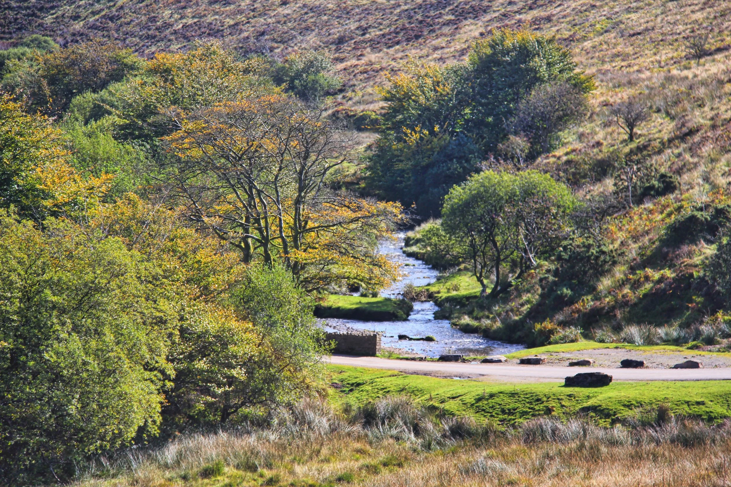 Exmoor Walks: Withypool Common