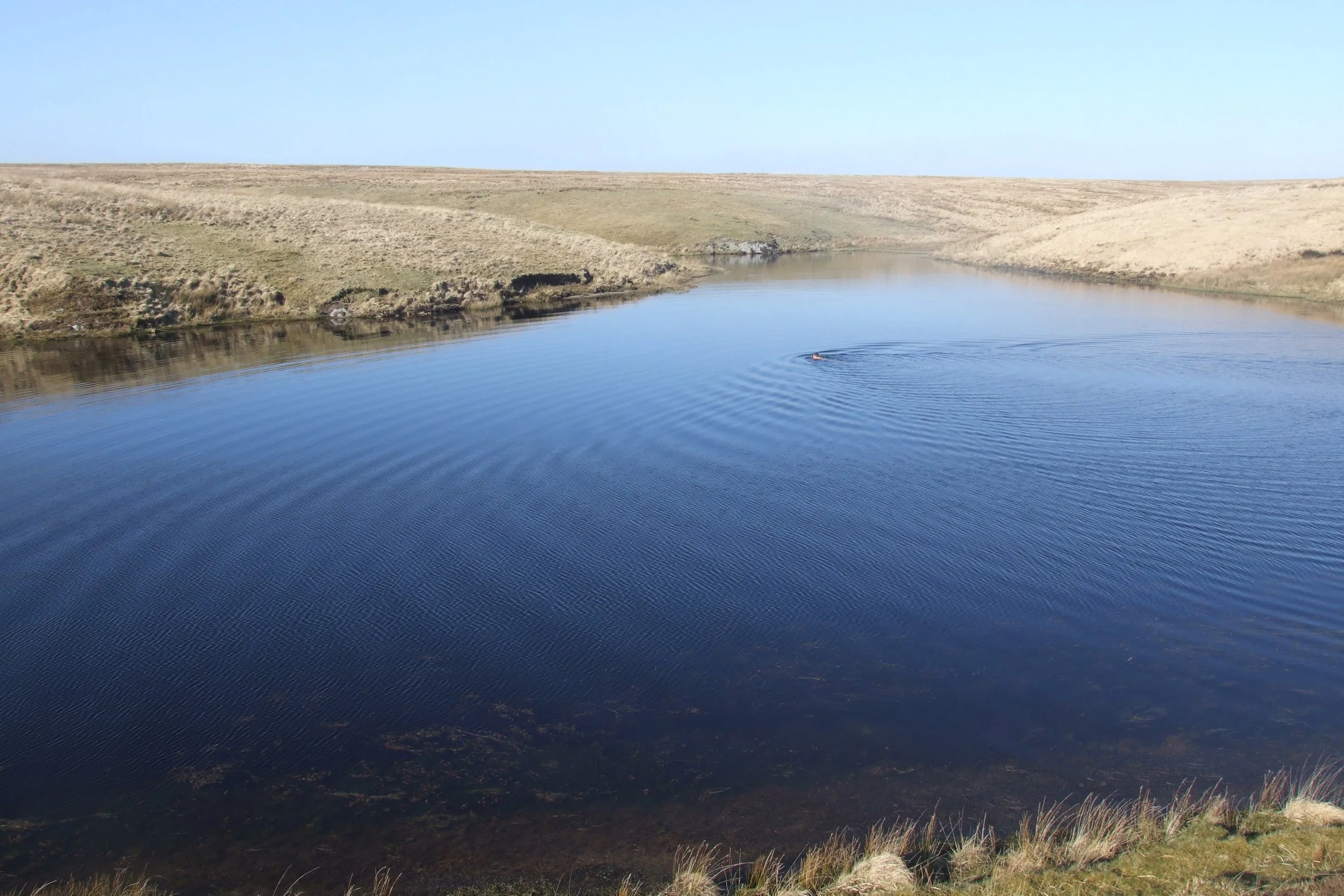 Exmoor Walks: The Chains and Pinkery Pond