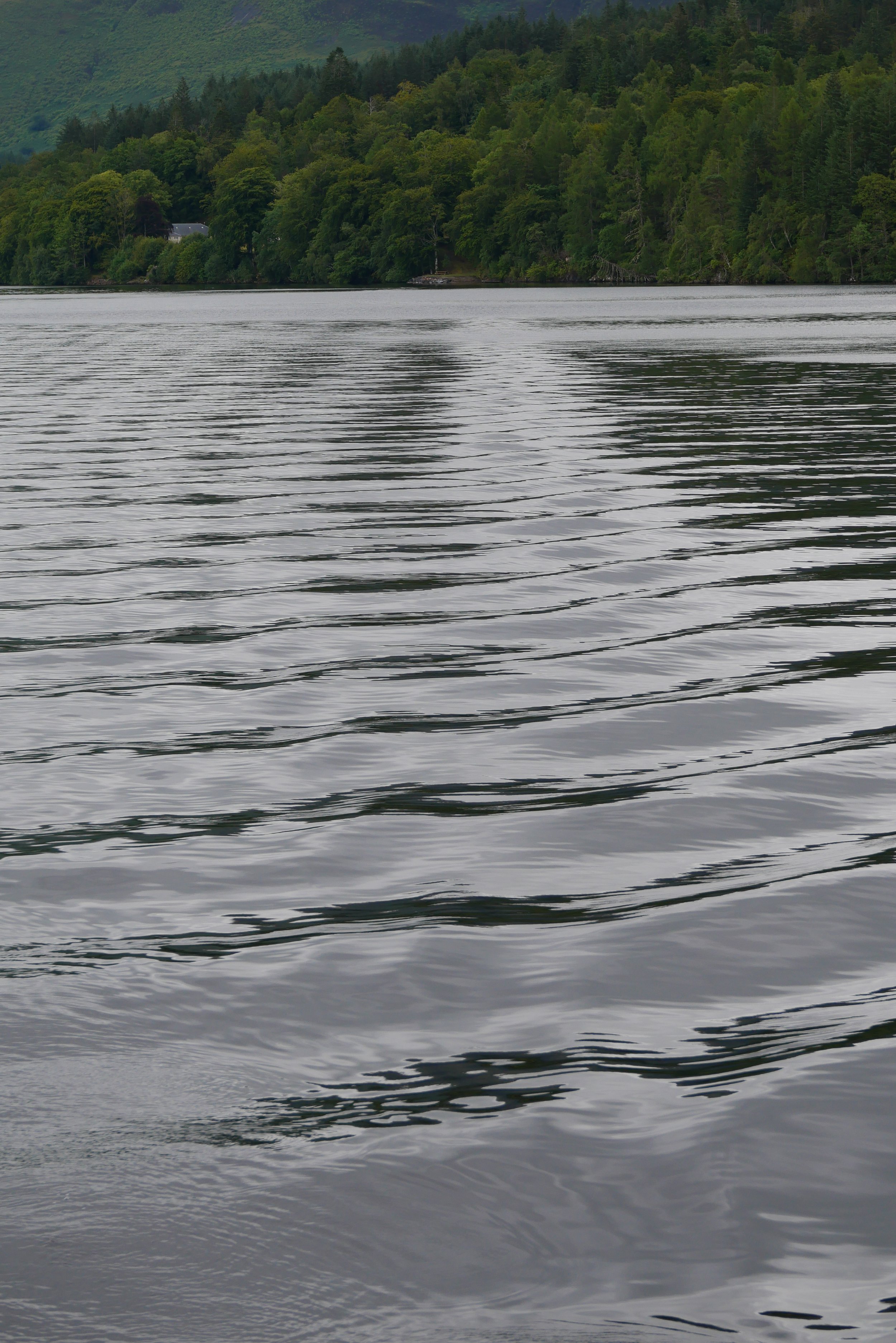 P1020727.JPG