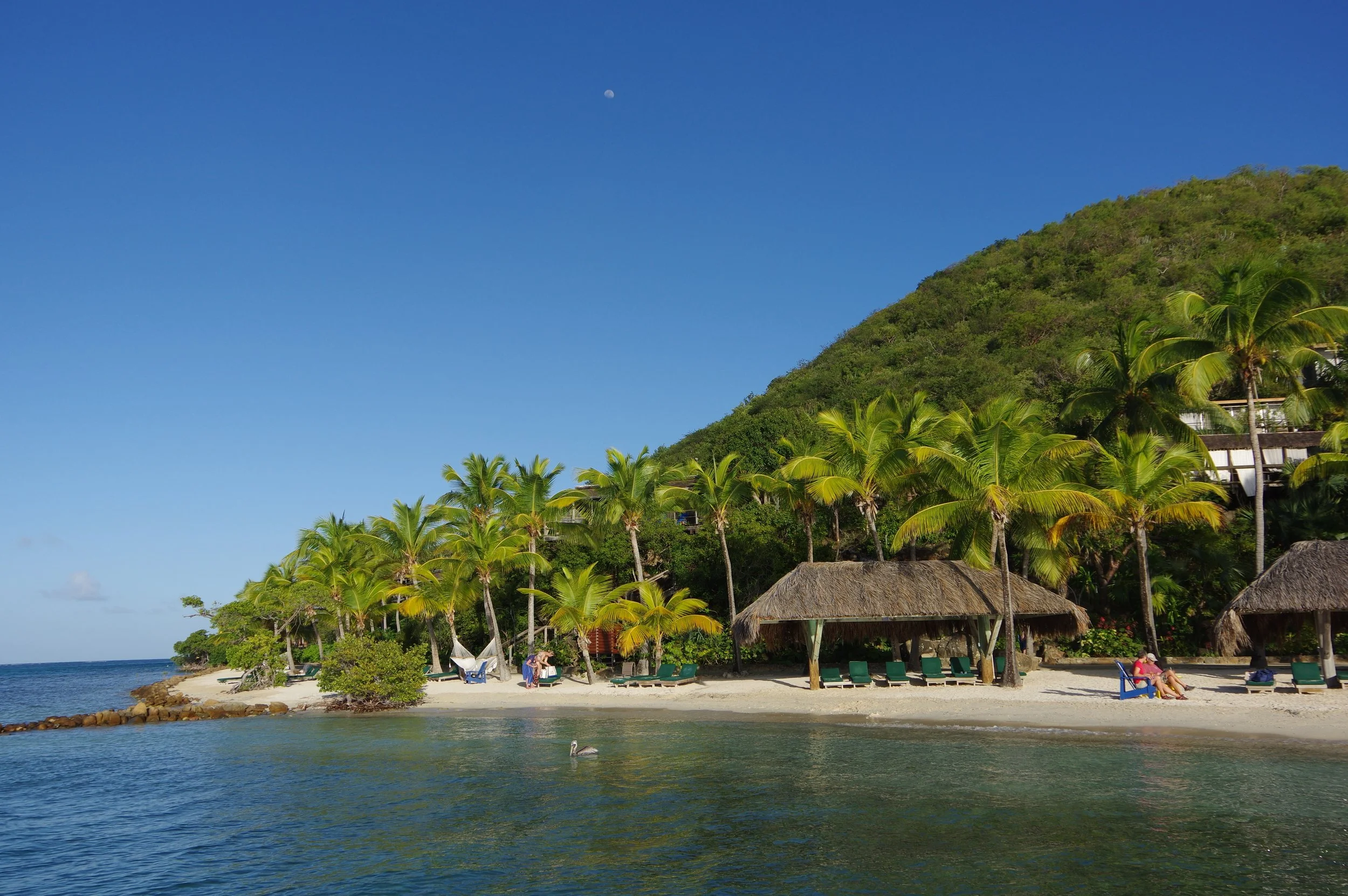 The Bitter End - a Tale of Resilience and Determination