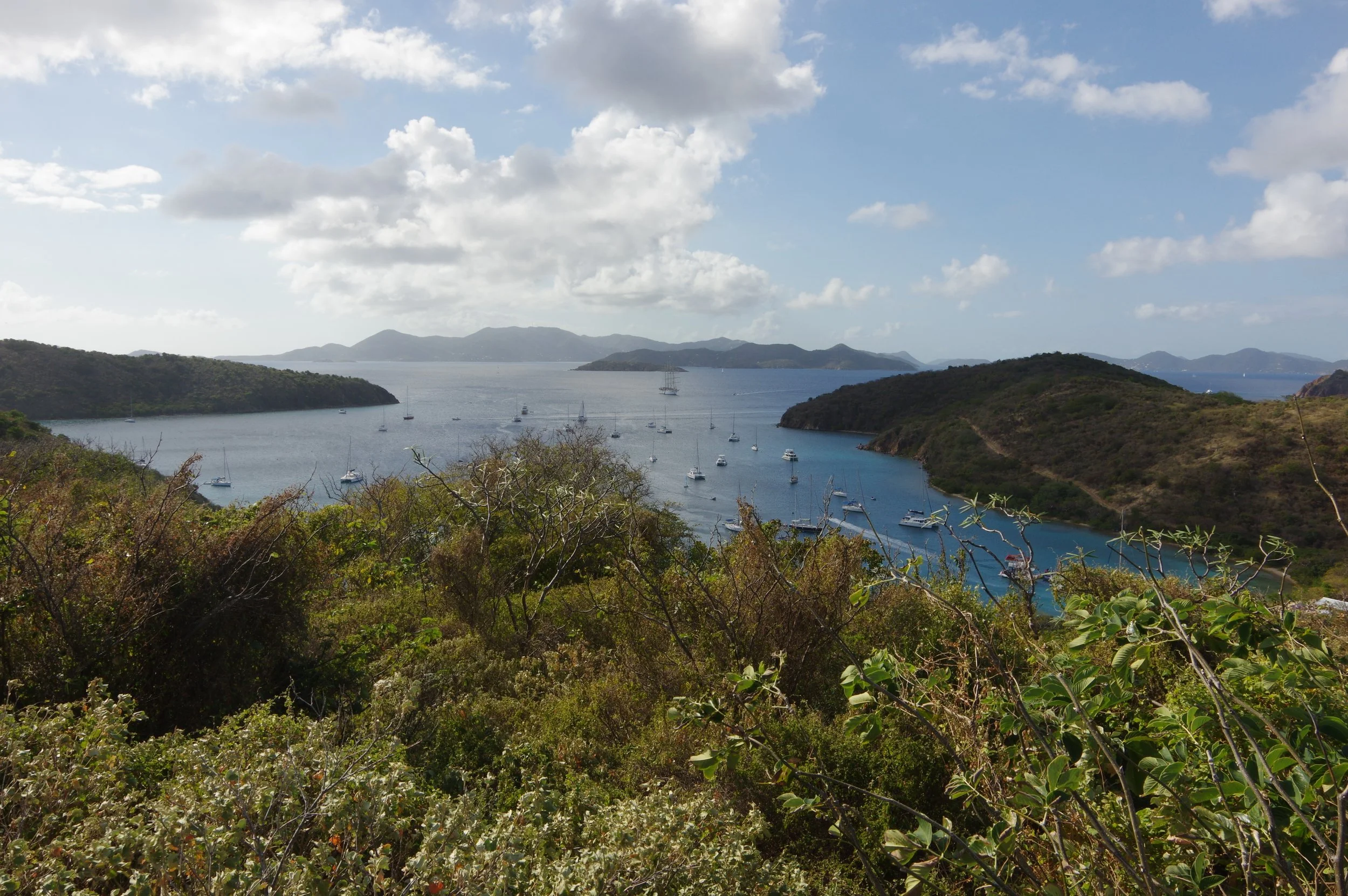 Nothing Normal About Norman Island