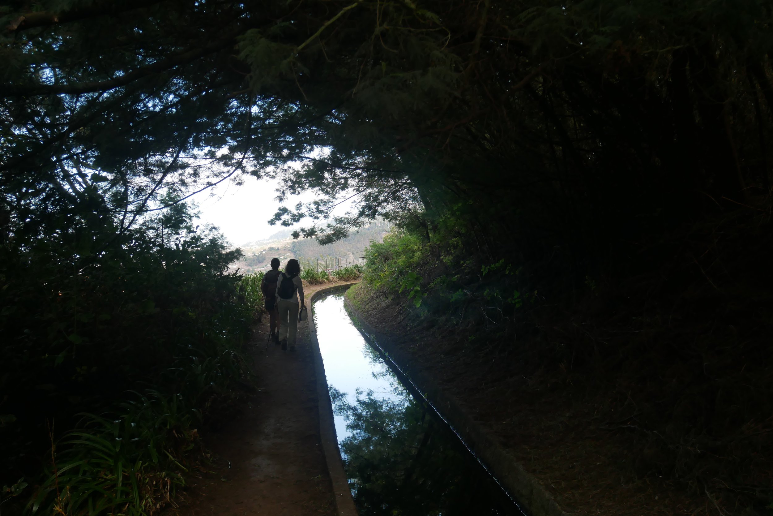 P1250531.JPG