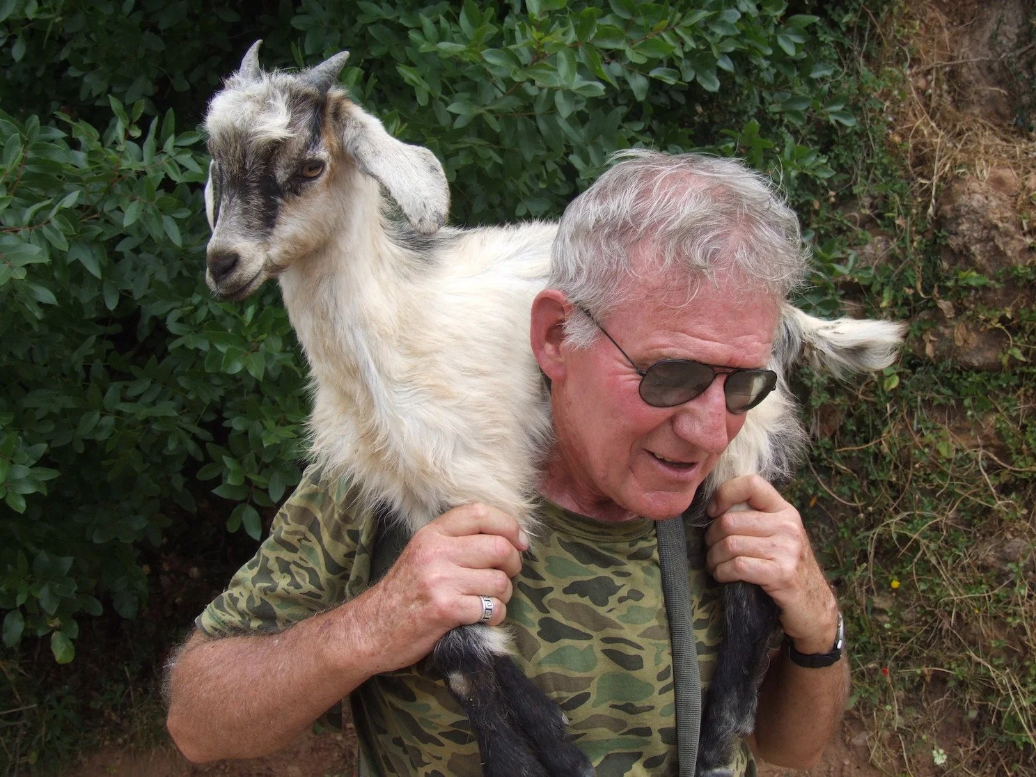 Walking on the Island of Samos: A Timeless Adventure