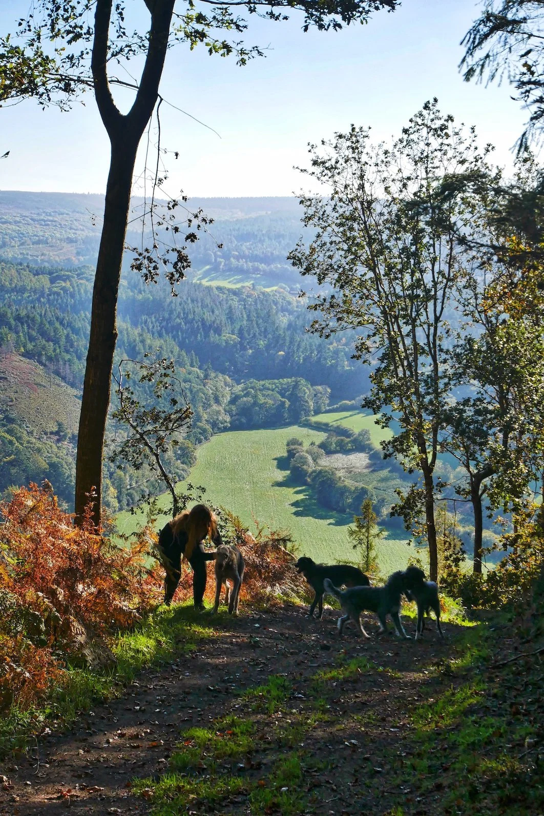 Exmoor Walks: Hopcott - Minehead to Dunster