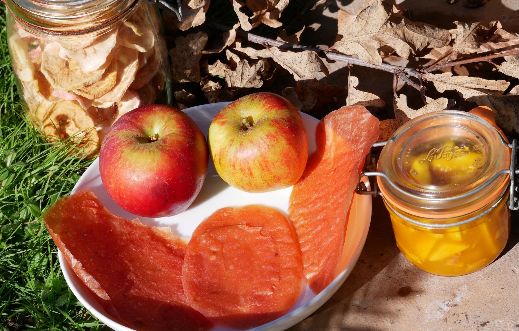 Apple Glut? Delicious Ways to Preserve Your Bumper Harvest