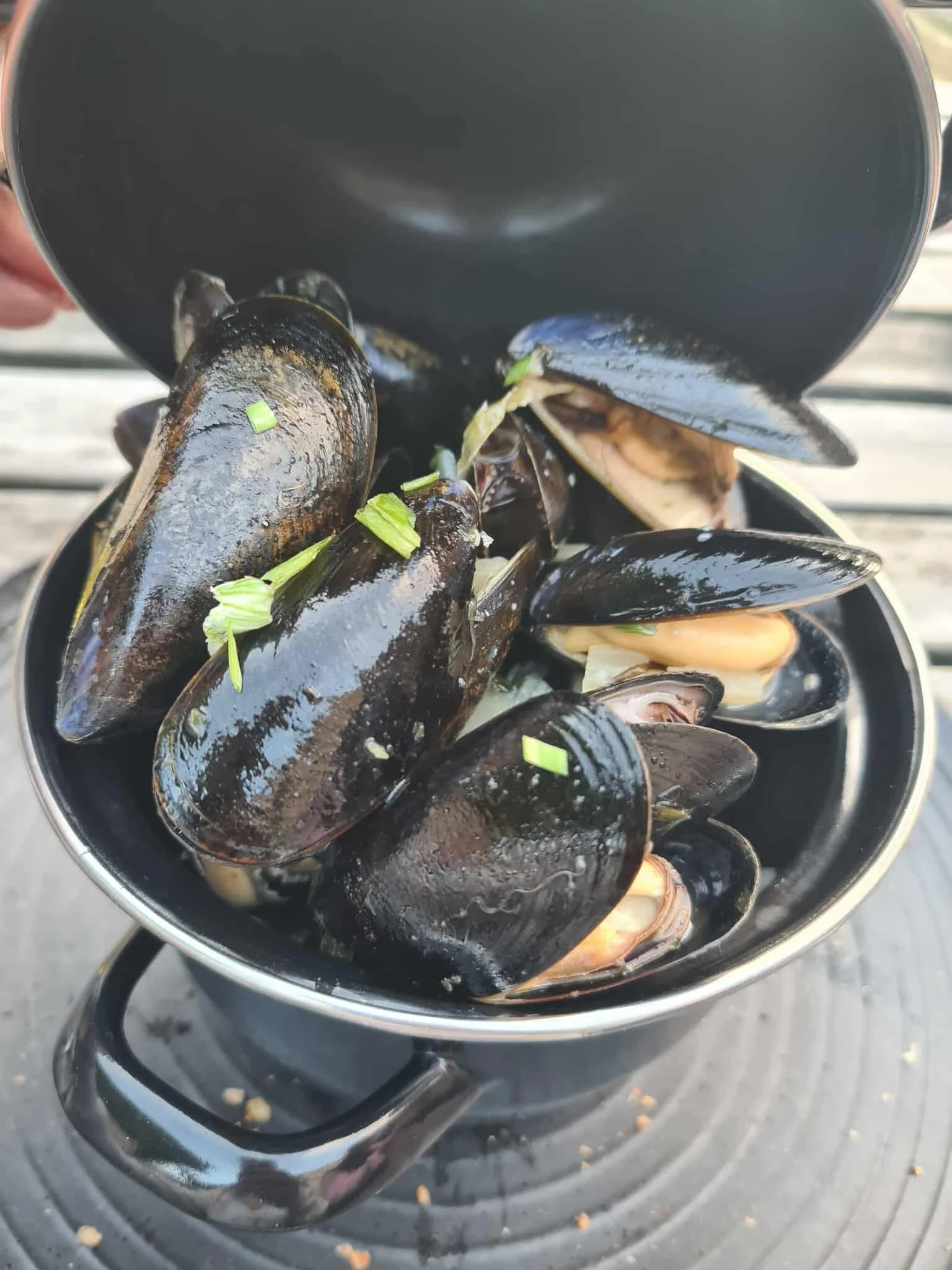 BBQ mussels 2 Sue Stoneman.jpg
