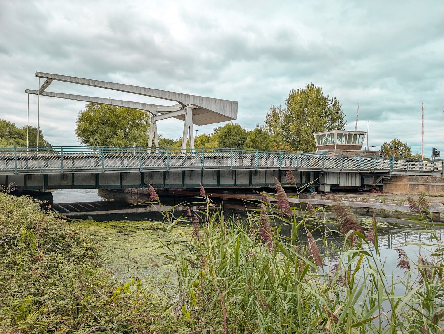 Exe Trail joins A379.jpg