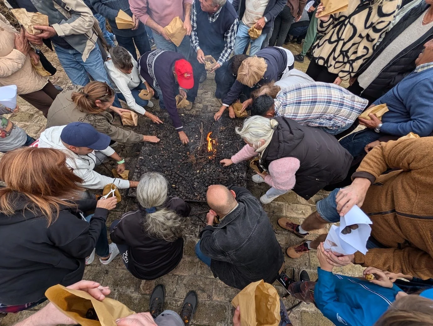 chestnut stampede.jpg