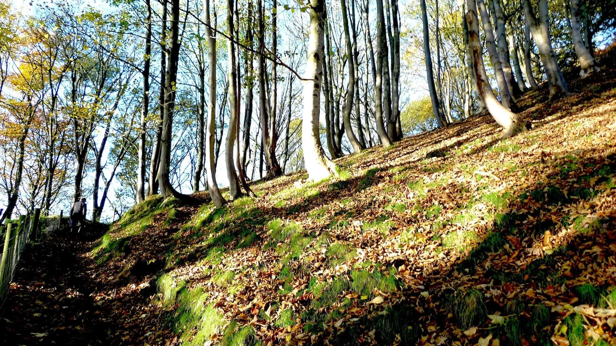 Path Bicknoller Combe to Weacombe