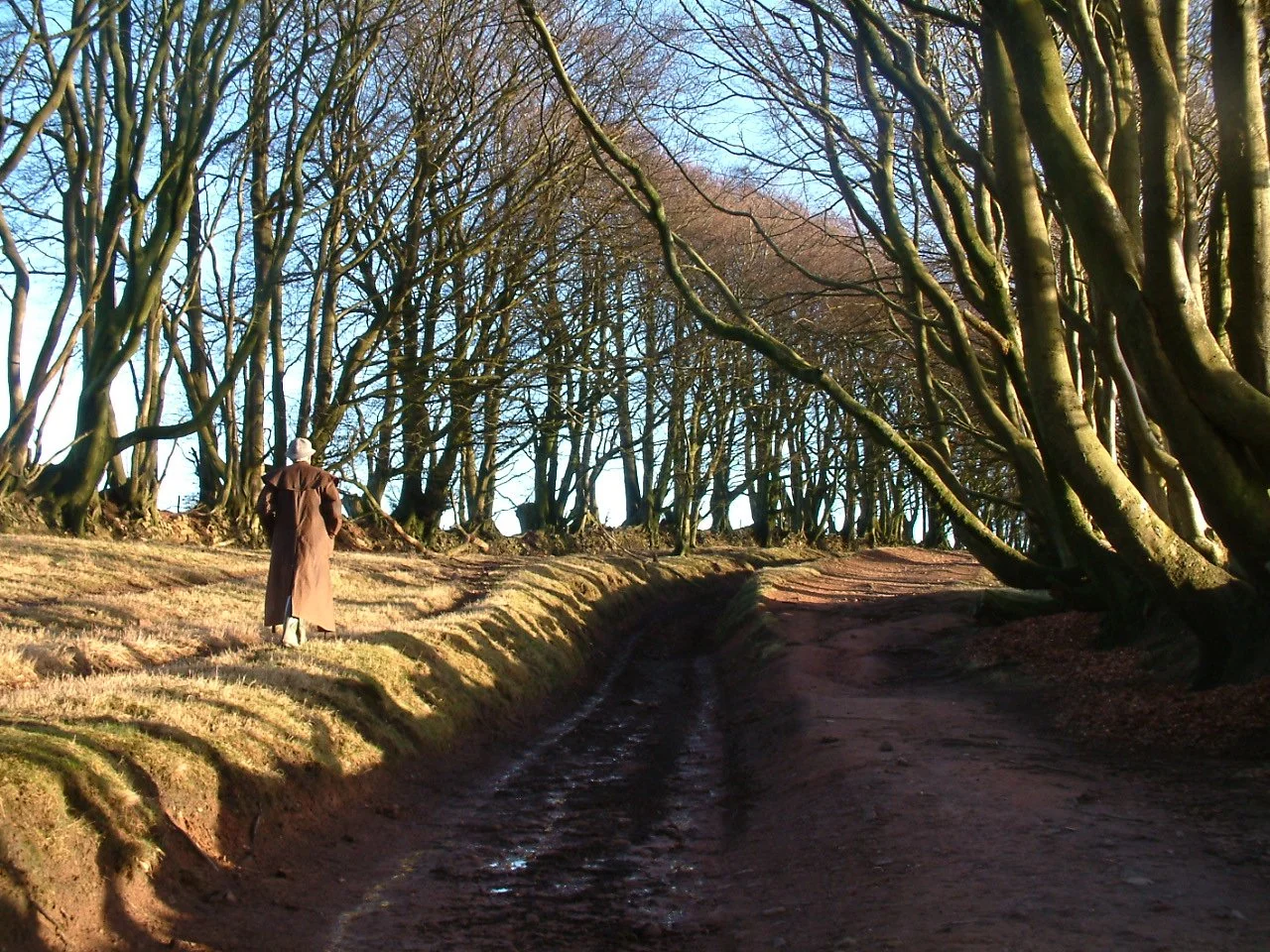 Ridgeway near Will’s Neck