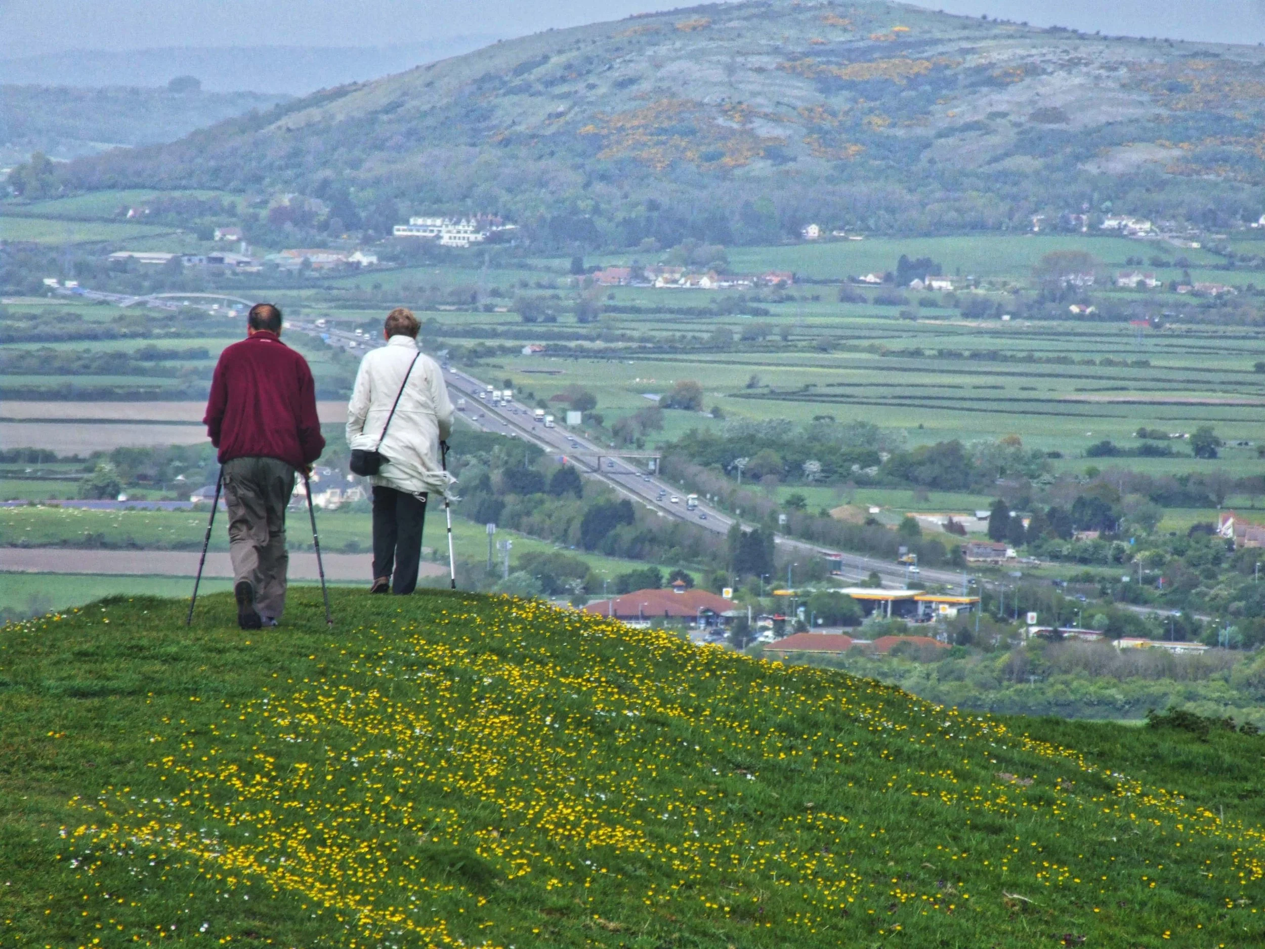 Walkers on Brent Knoll