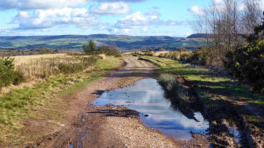 Woodbury Common and the Pebblebeds