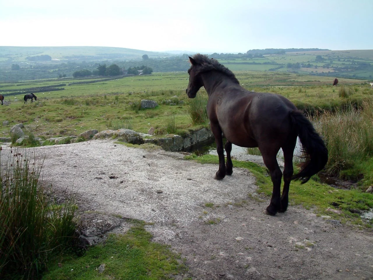 Path to Great Trowlesworthy Tor