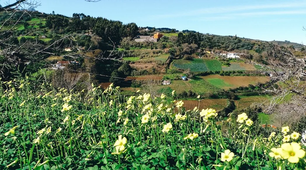 Inland, not far from Las Palmas