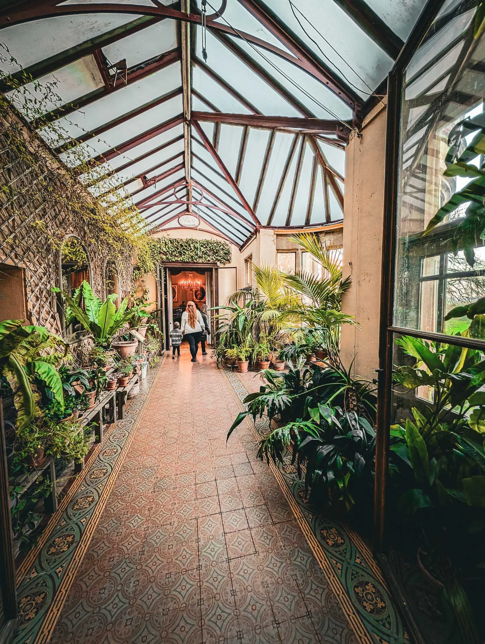 Conservatory at Dunster Castle
