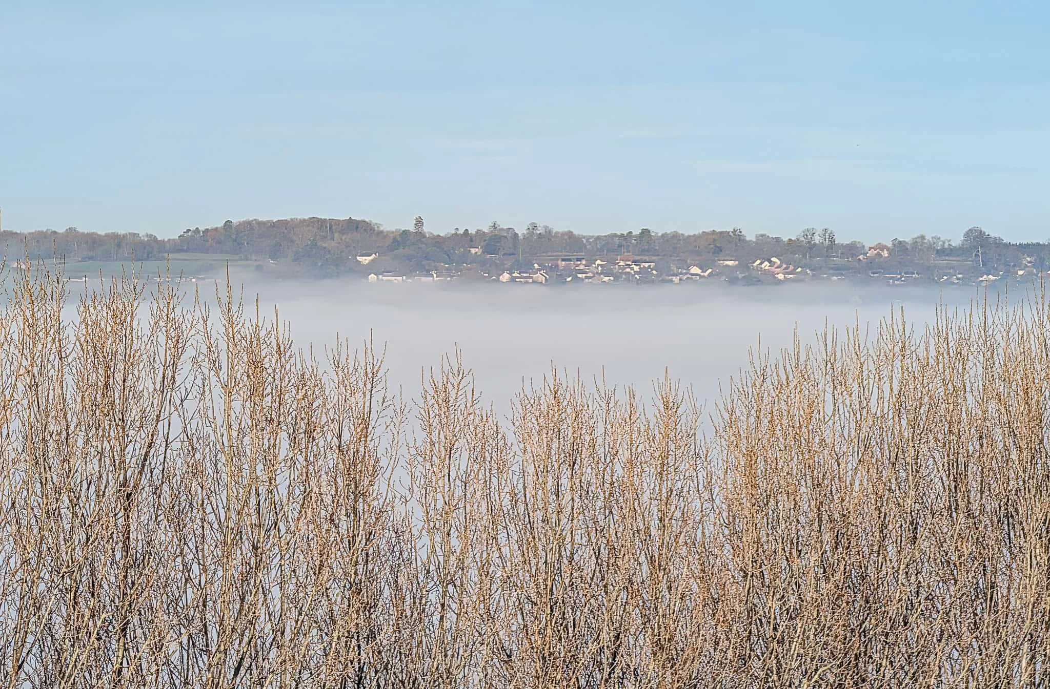 Looking across the mist filled Levels