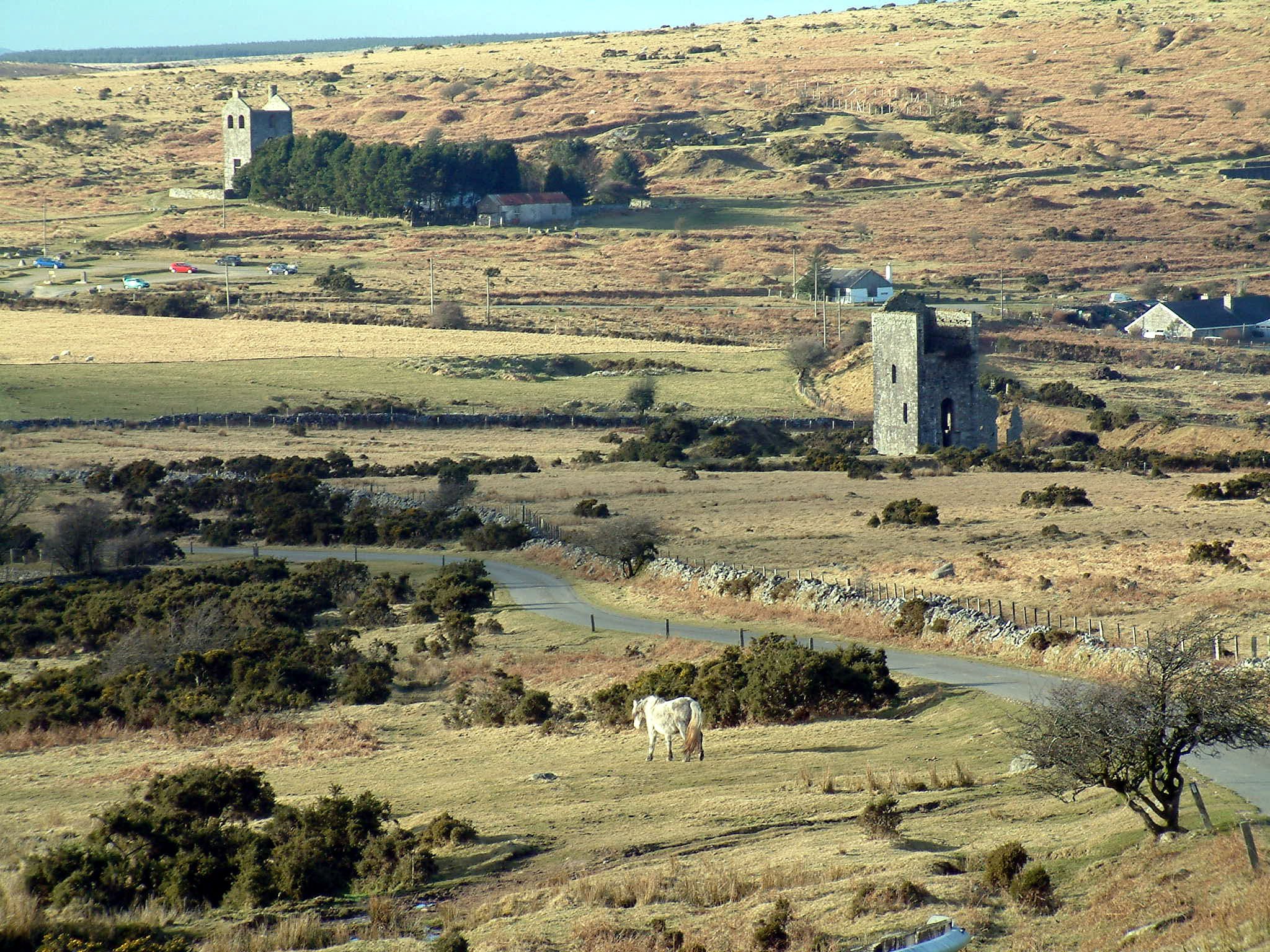 Old mines on Caradon Hill
