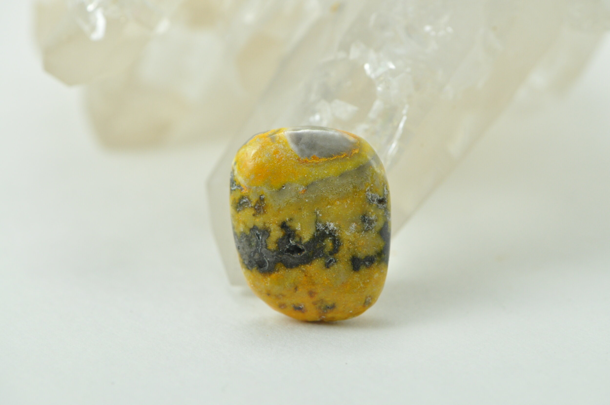 Bumble Bee Jasper #108.jpeg