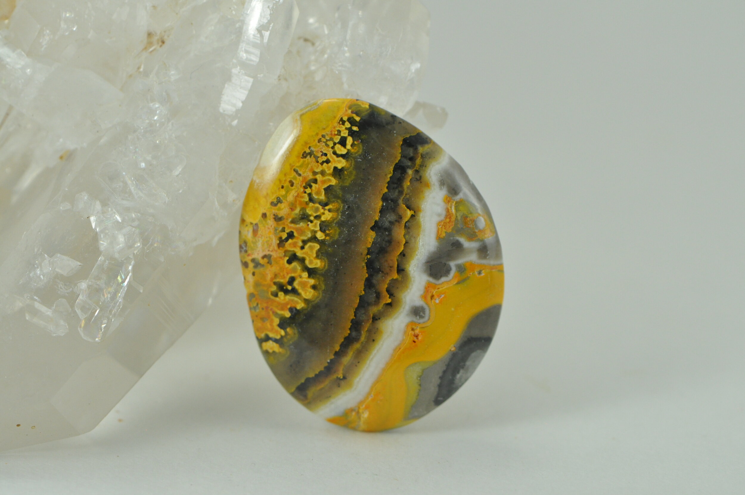 Bumble Bee Jasper A #128.jpeg