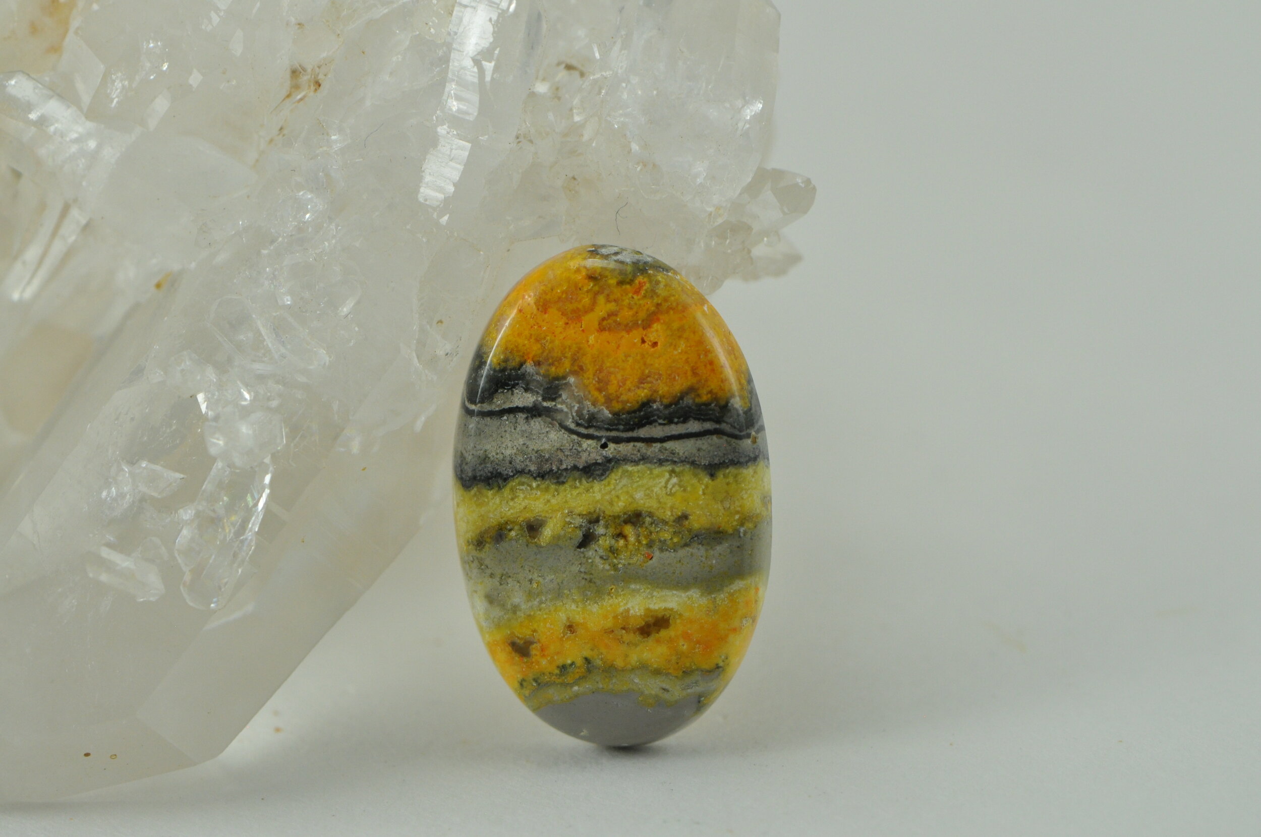 Bumble Bee Jasper A #140.jpeg
