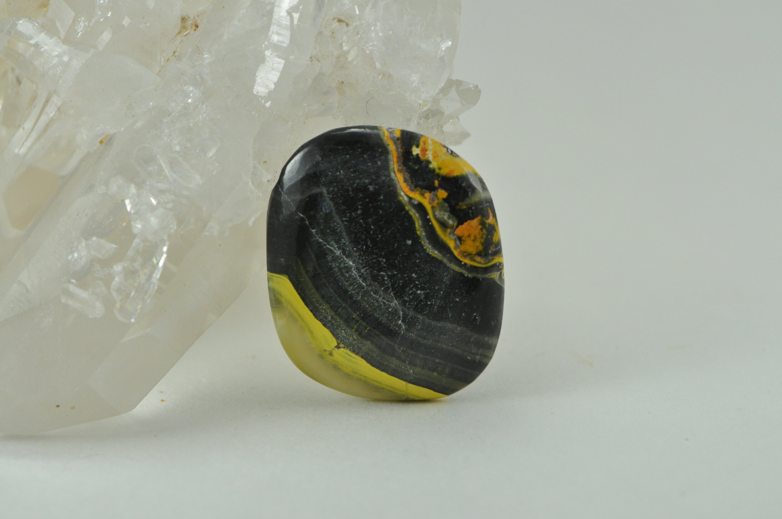 Bumble Bee Jasper A #147.jpeg
