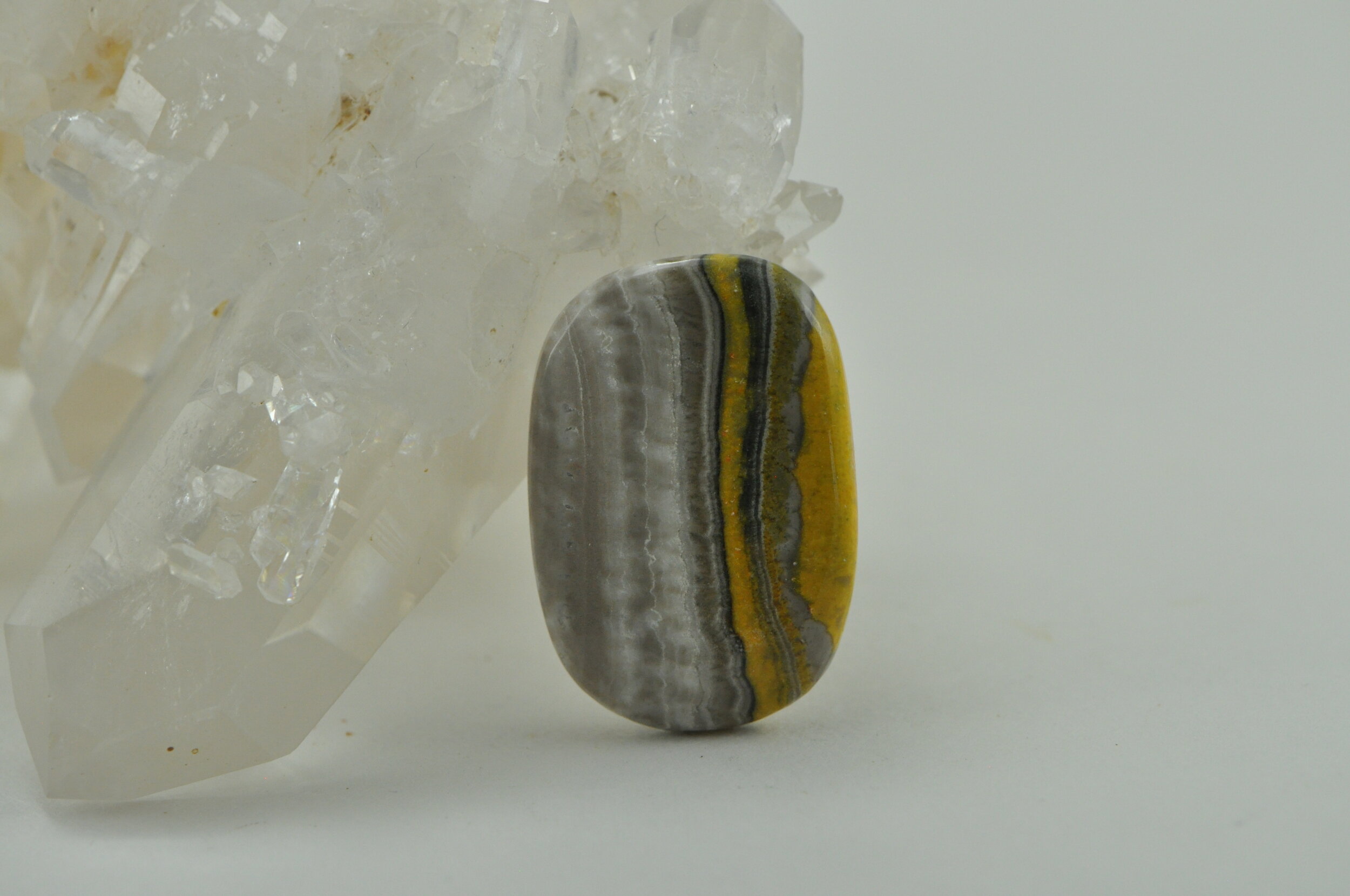 Bumble Bee Jasper A #156.jpeg