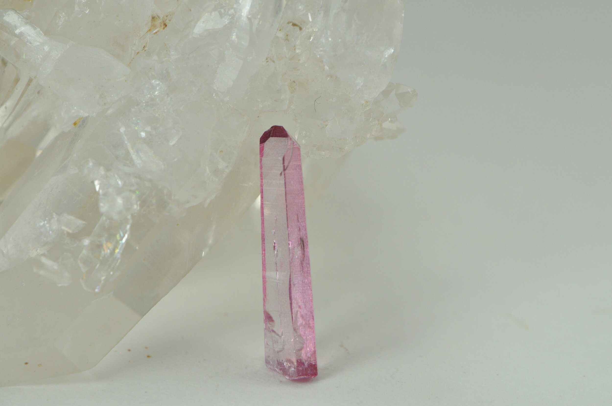 Rose Aura A #171.jpeg