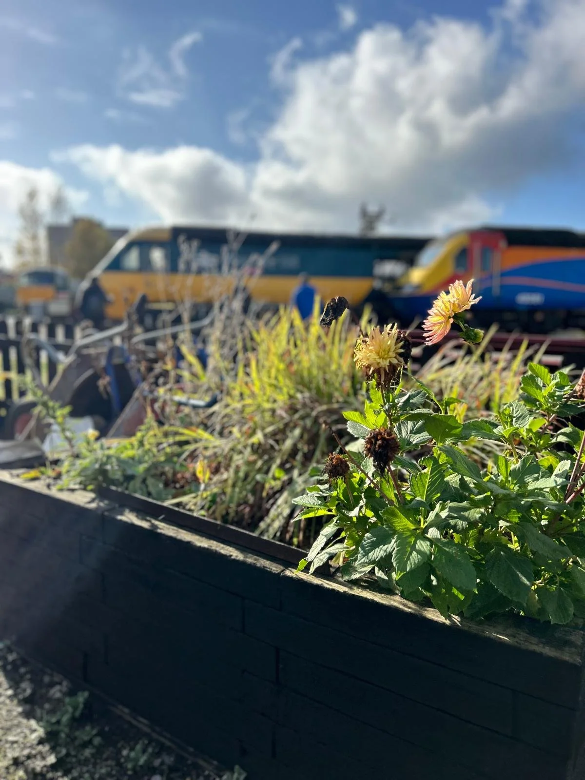 Open to Visitors: FREE Admission Day