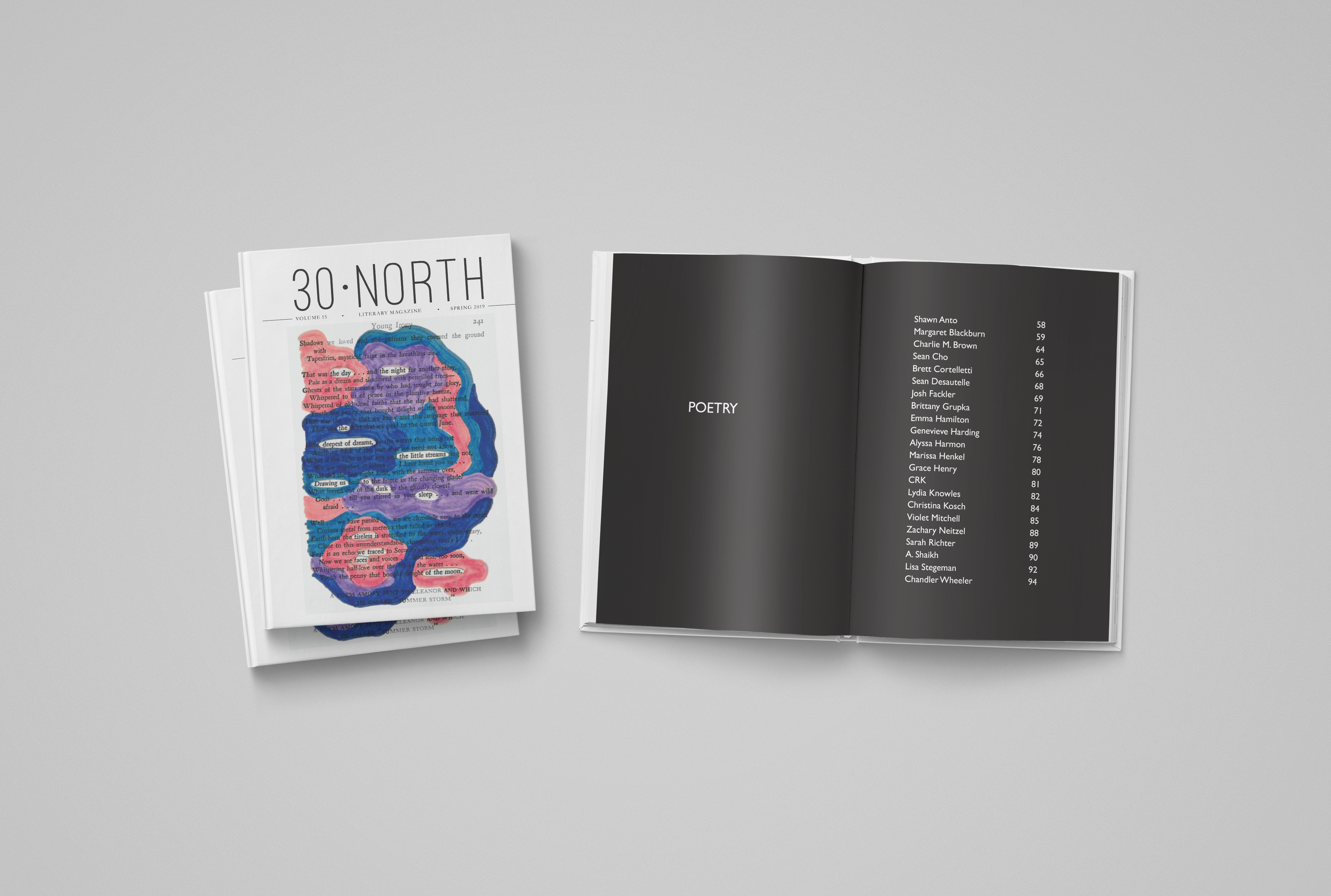 30North_Mockup3.png
