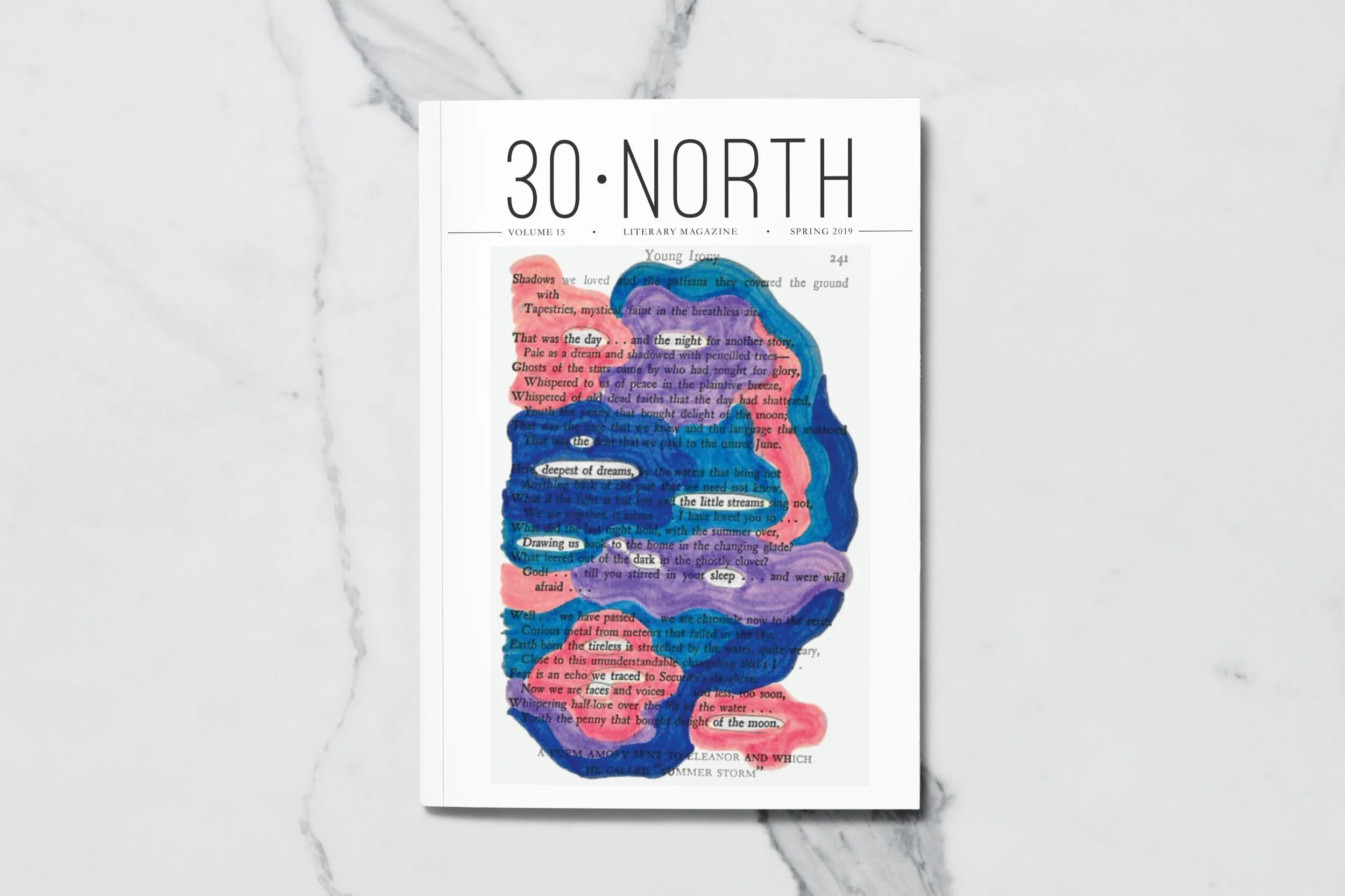30NorthCover_Mockup2.jpg