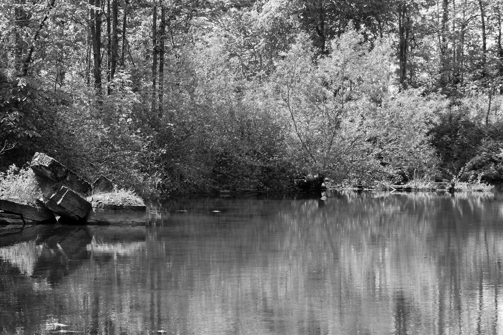 pond.jpg