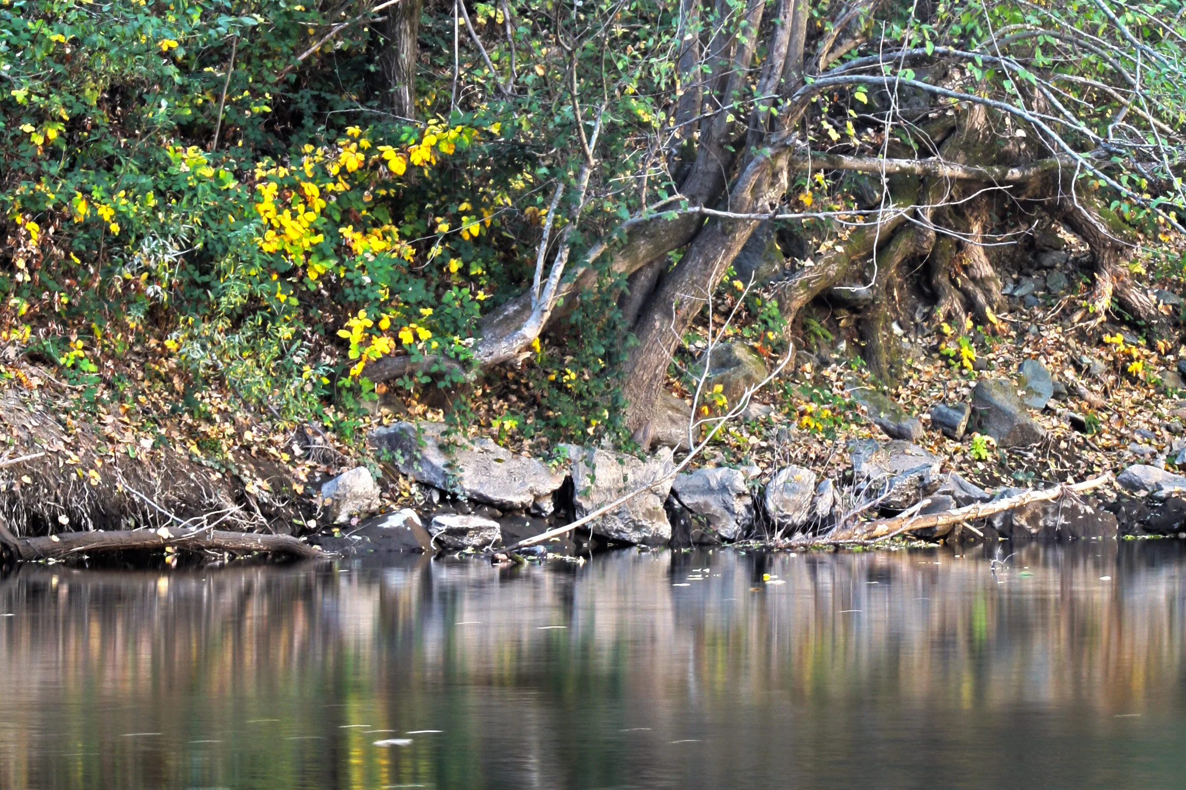 River Edge.jpg