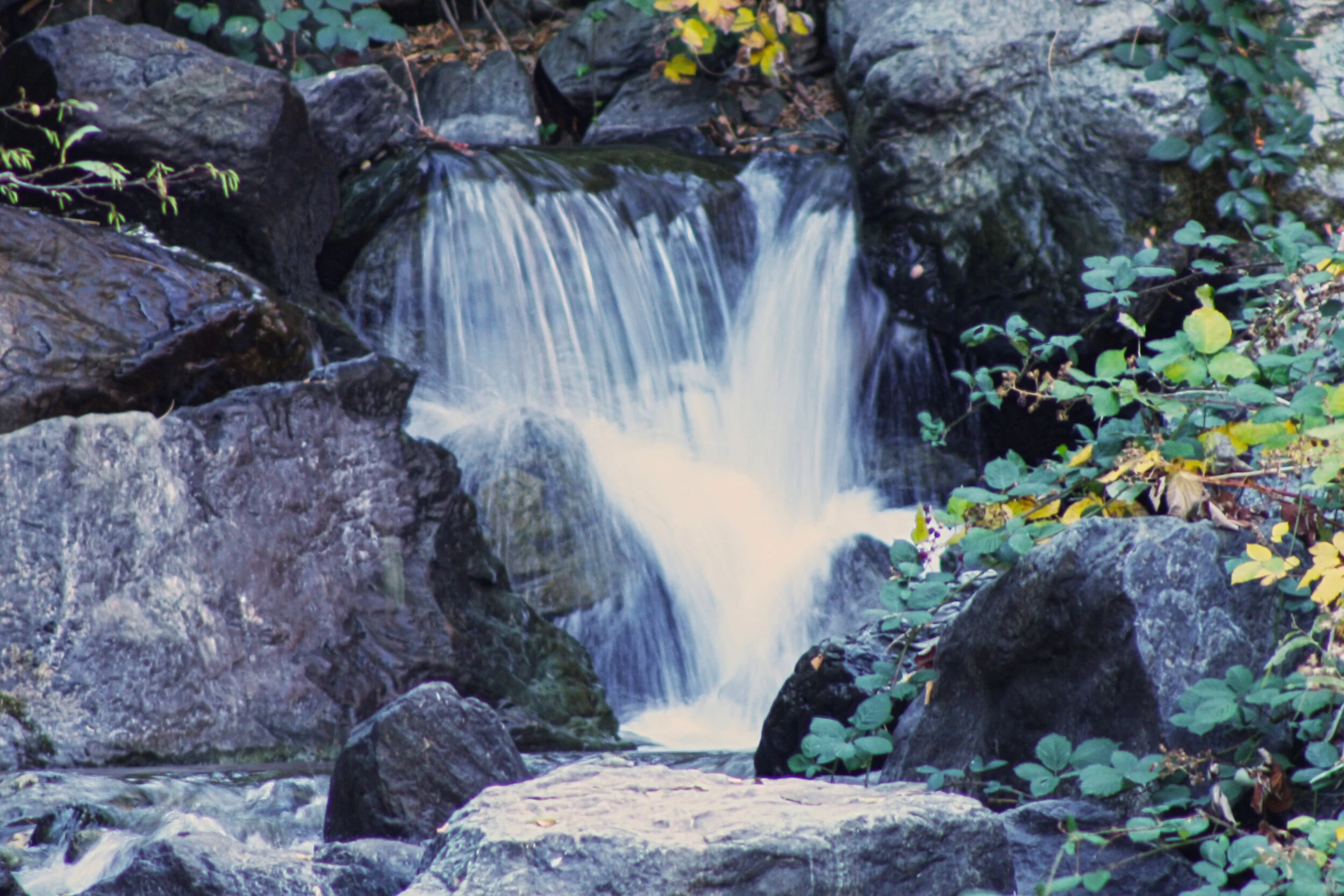 falls1.jpg