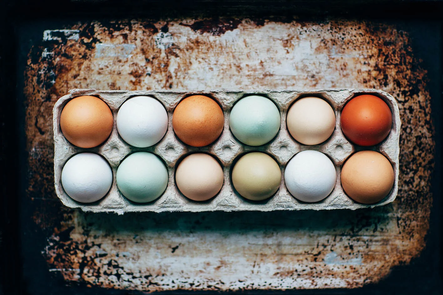 eggs.jpg