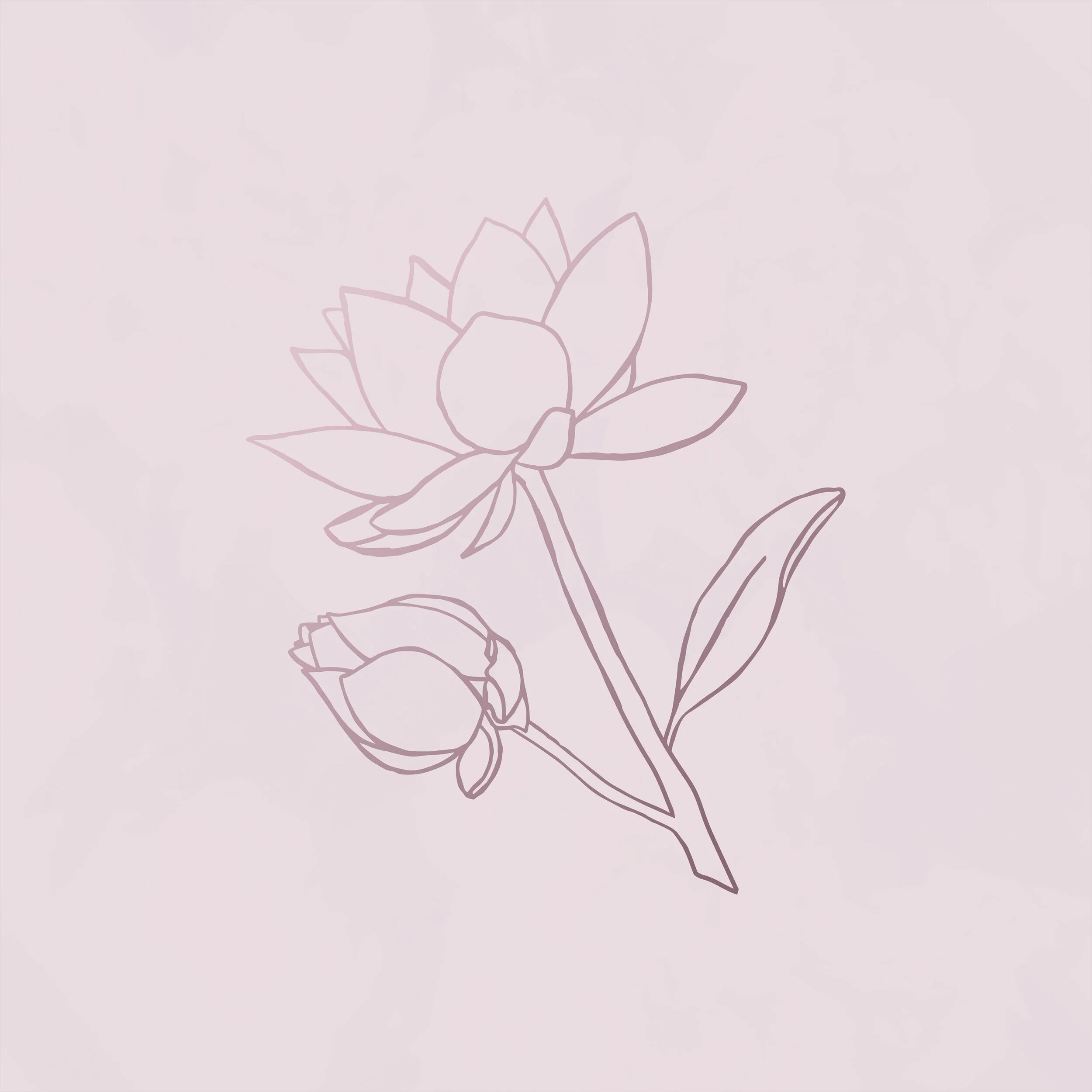 Flower.jpg