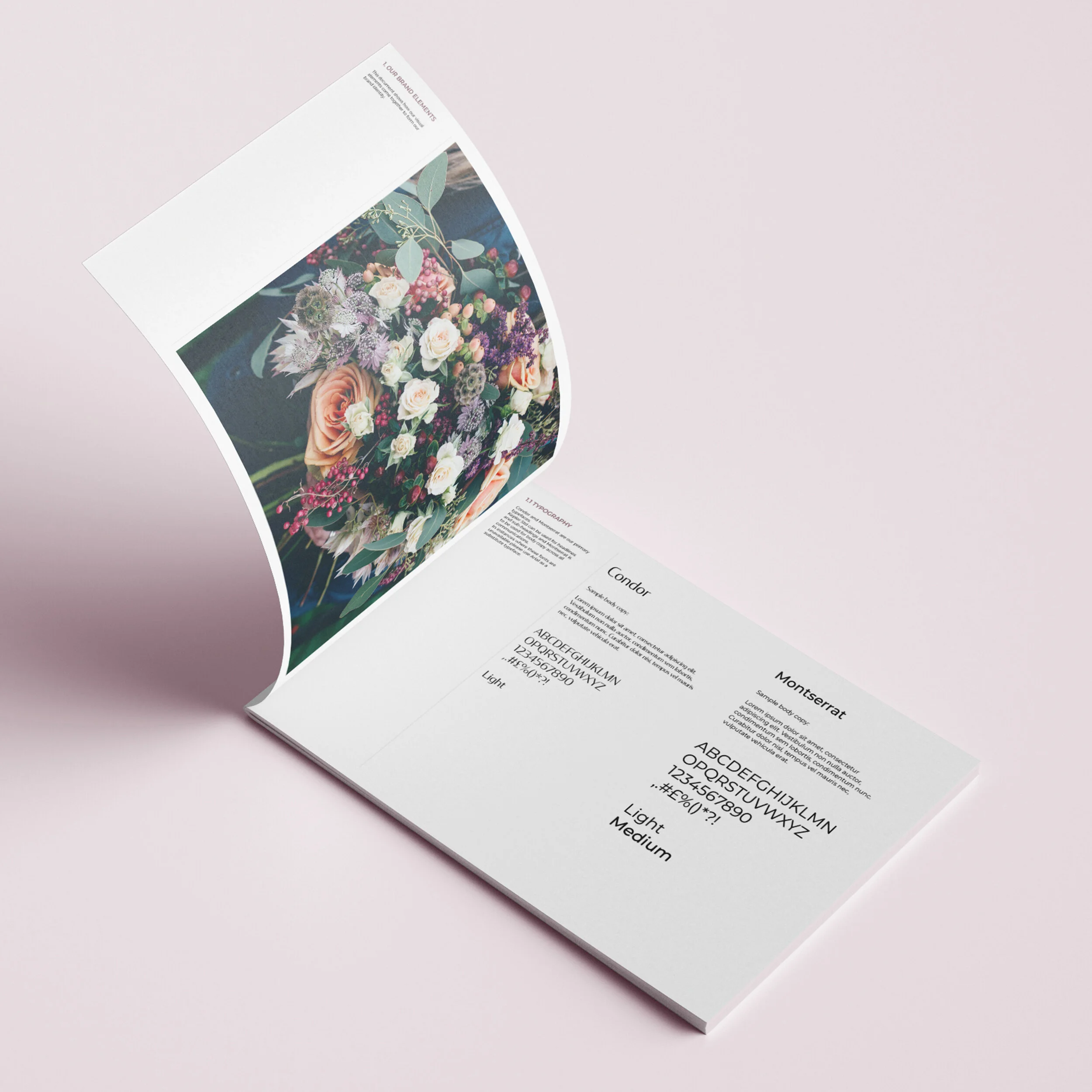 Brand Book v2.jpg