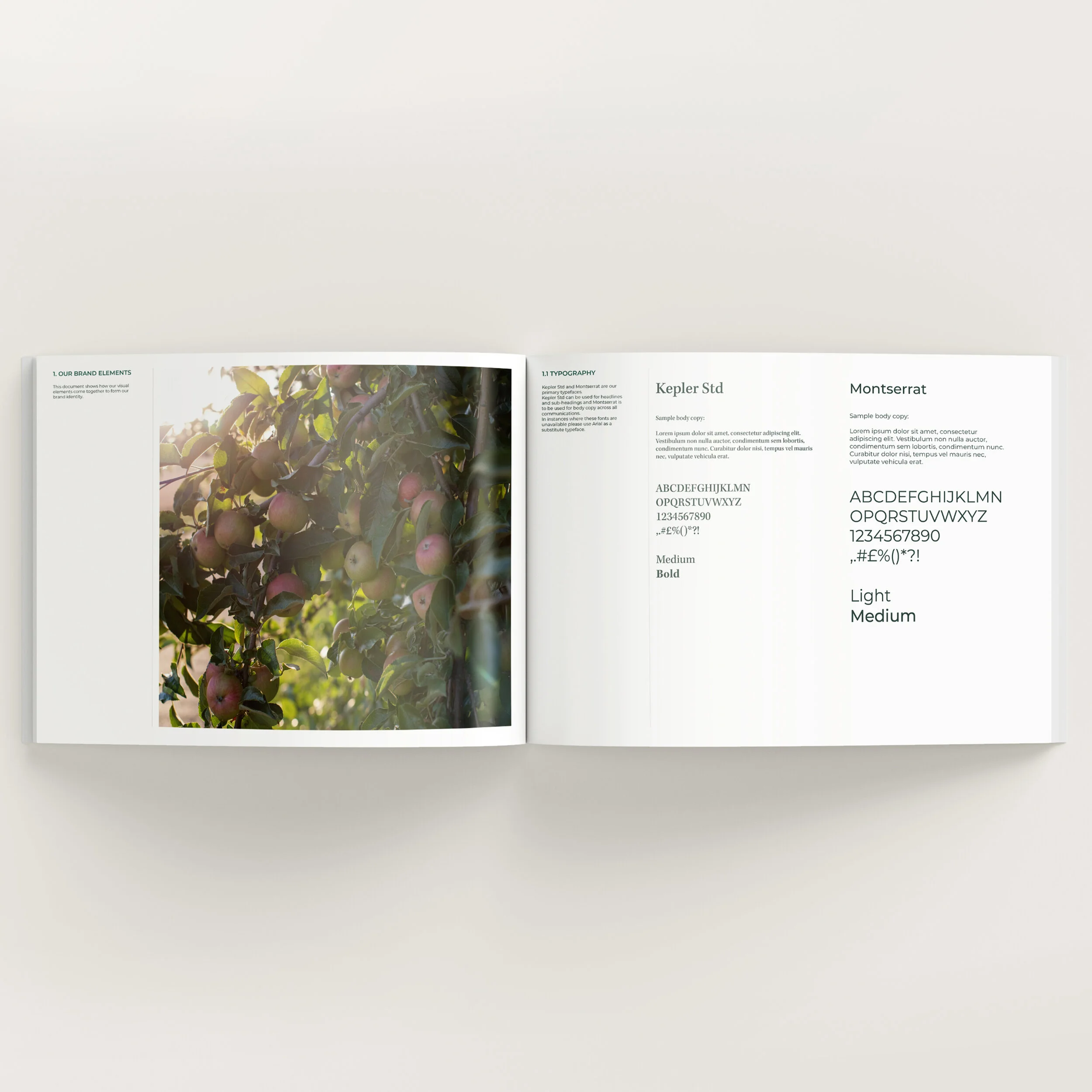 Brand Book 2.jpg