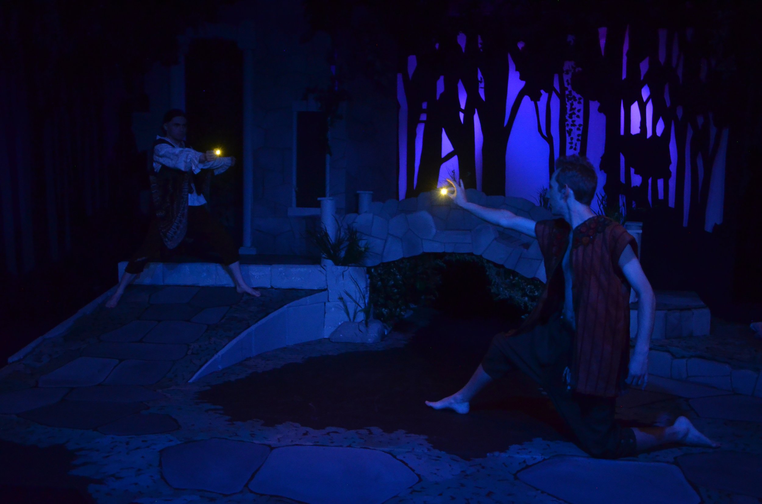 47 Moth Puck Light Dance.JPG