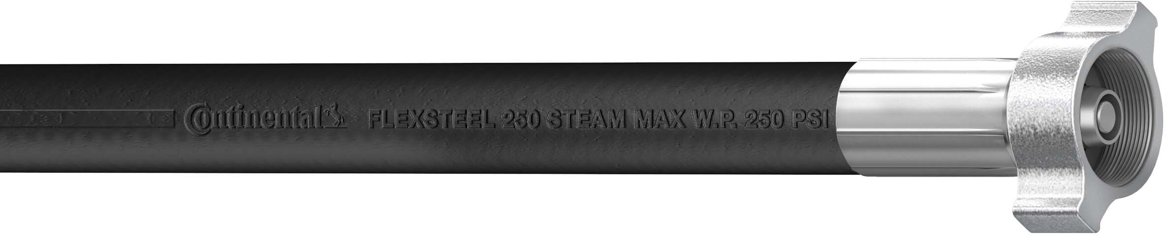 Steam Hose