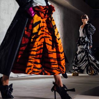 Dries van noten