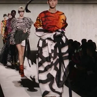 dries_5.jpg